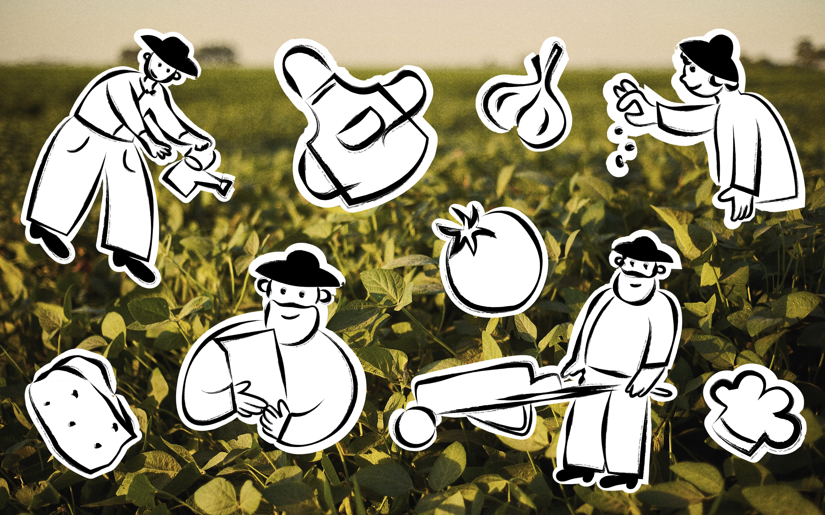 Чипсы Evobite | Упаковка и айдентика — Изображение №7 — Брендинг на Dprofile