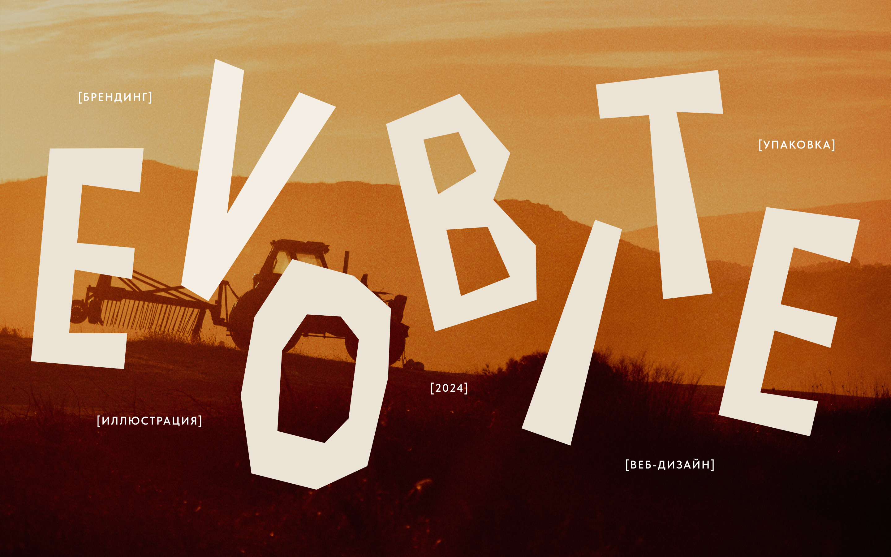 Чипсы Evobite | Упаковка и айдентика — Изображение №1 — Брендинг на Dprofile