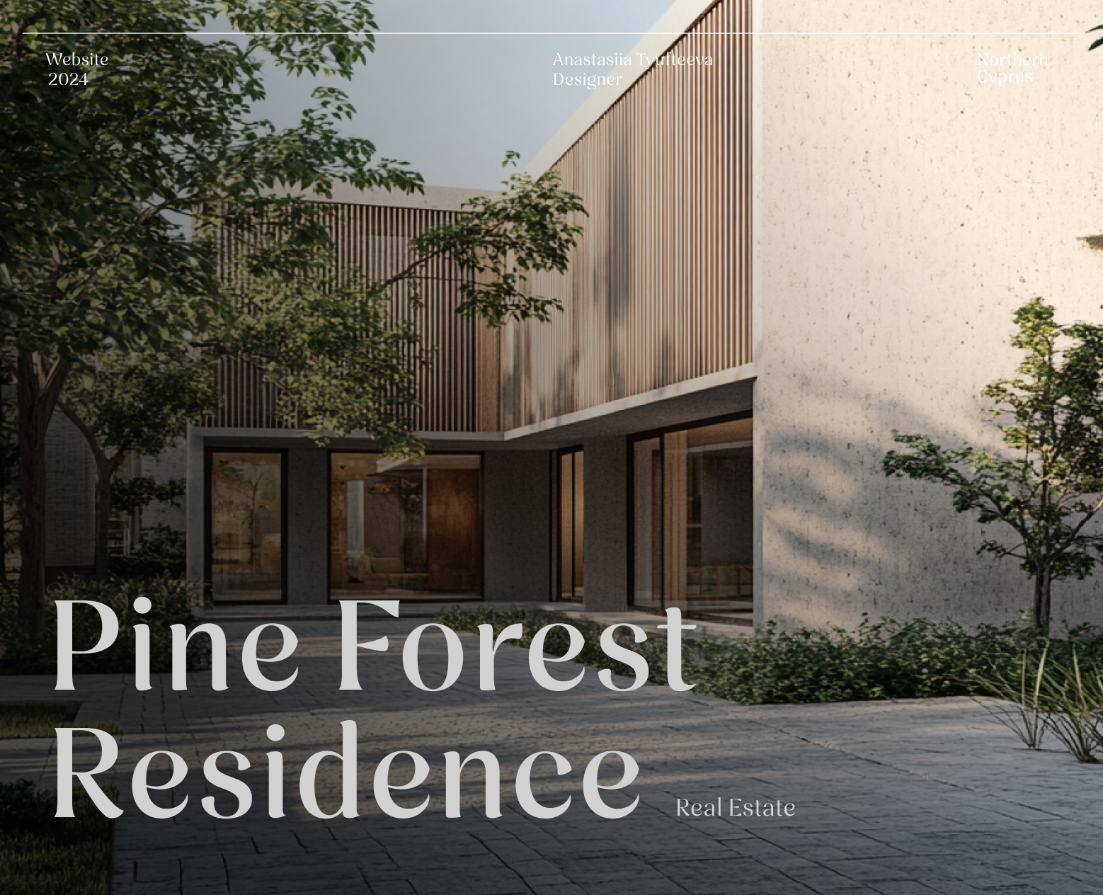 Website Design for Northern Cyprus Real Estate — Интерфейсы на Dprofile