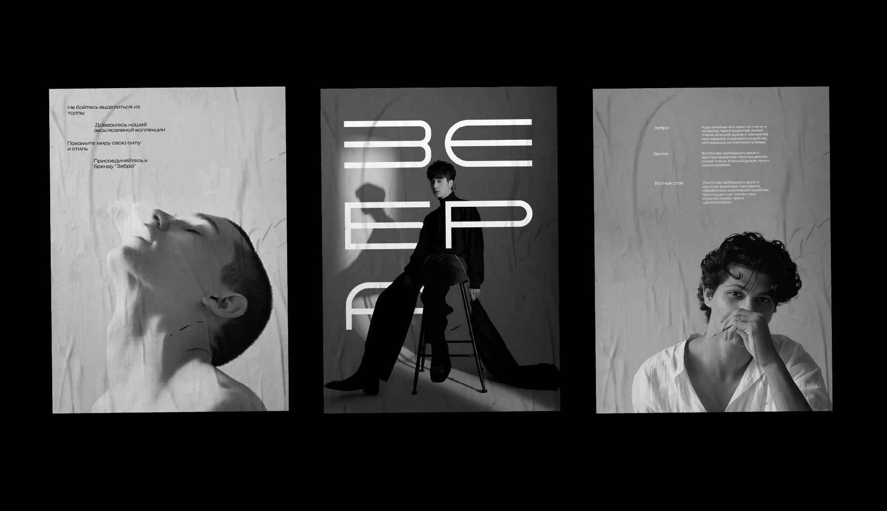 ЛОГОТИП | Мужская одежда "Зебра" — Изображение №8 — Брендинг на Dprofile