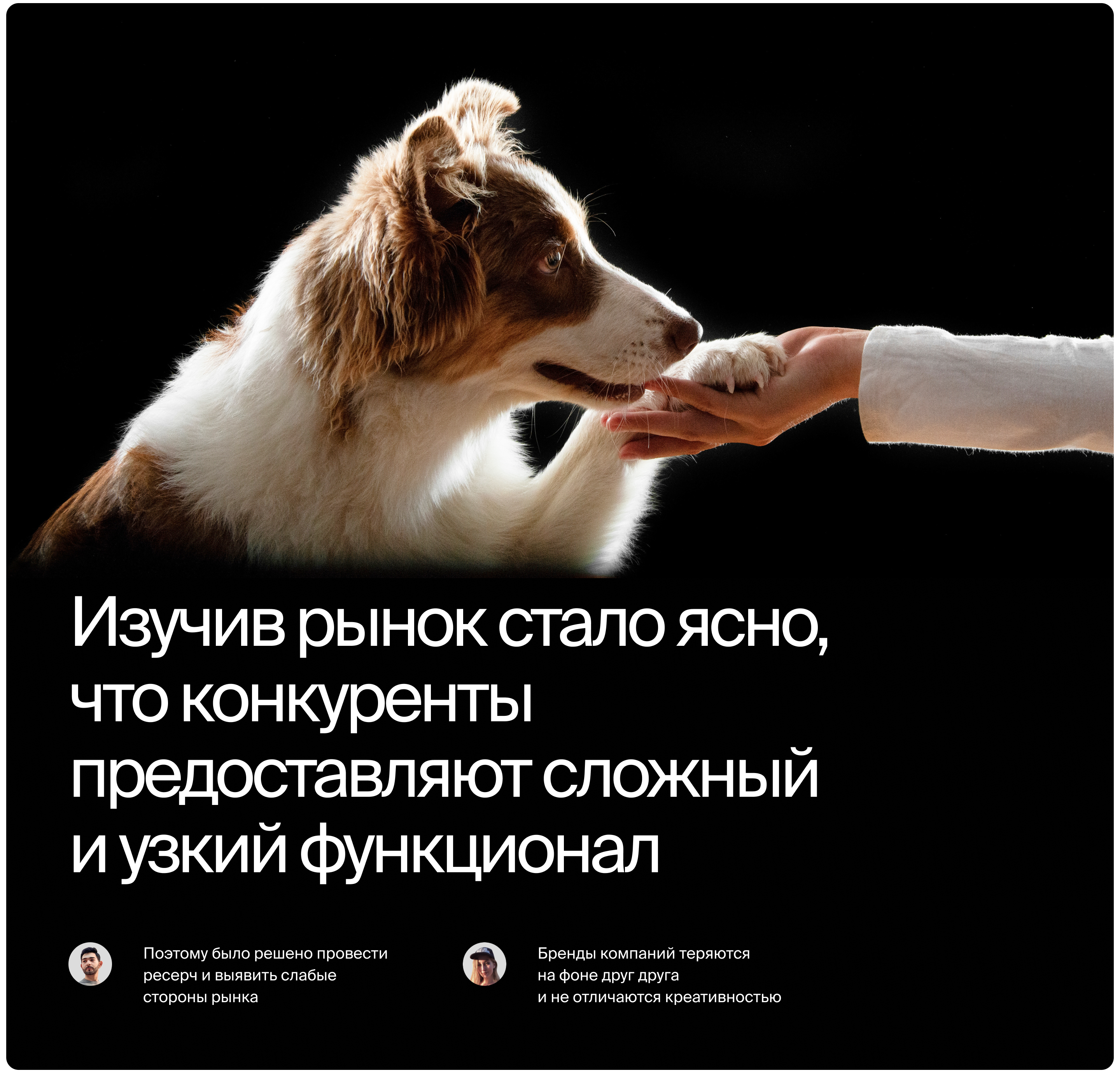 2024 | Дай Четыре – Сервис передержки домашних животных — Изображение №3 — Интерфейсы, Иллюстрация на Dprofile