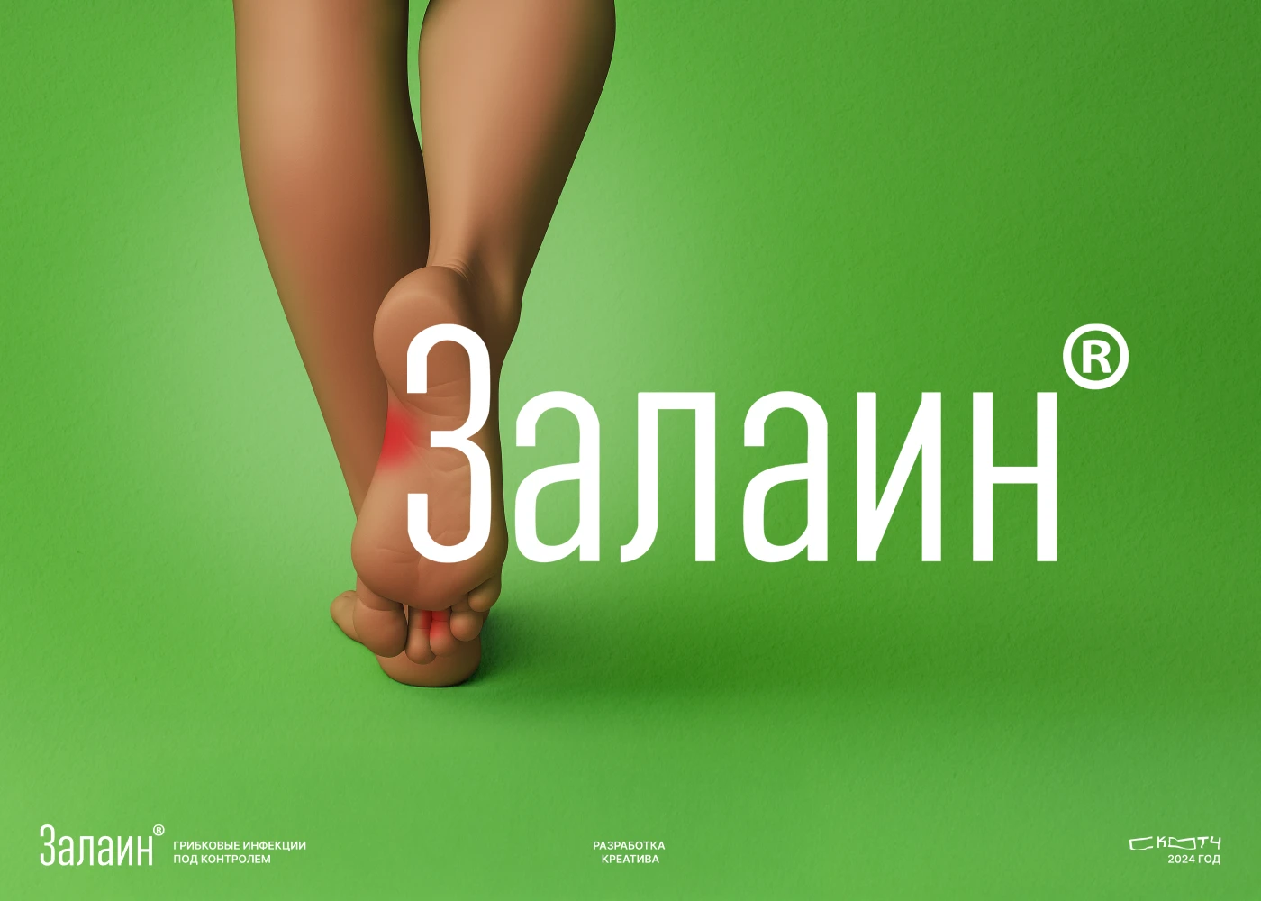 Залаин — Изображение №1 — Брендинг, Маркетинг на Dprofile