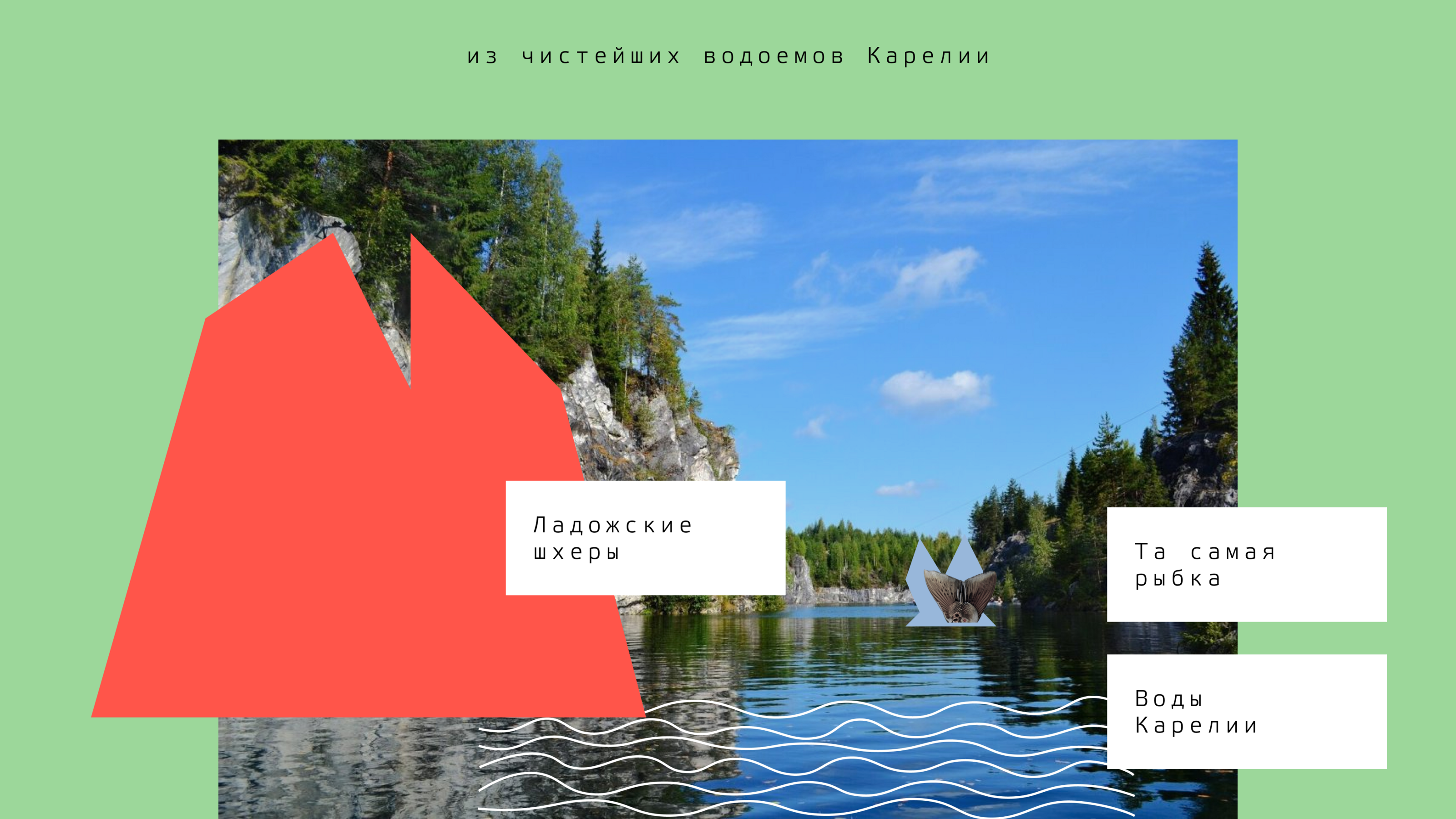 Визуальная концепция бренда — Изображение №3 — Брендинг на Dprofile