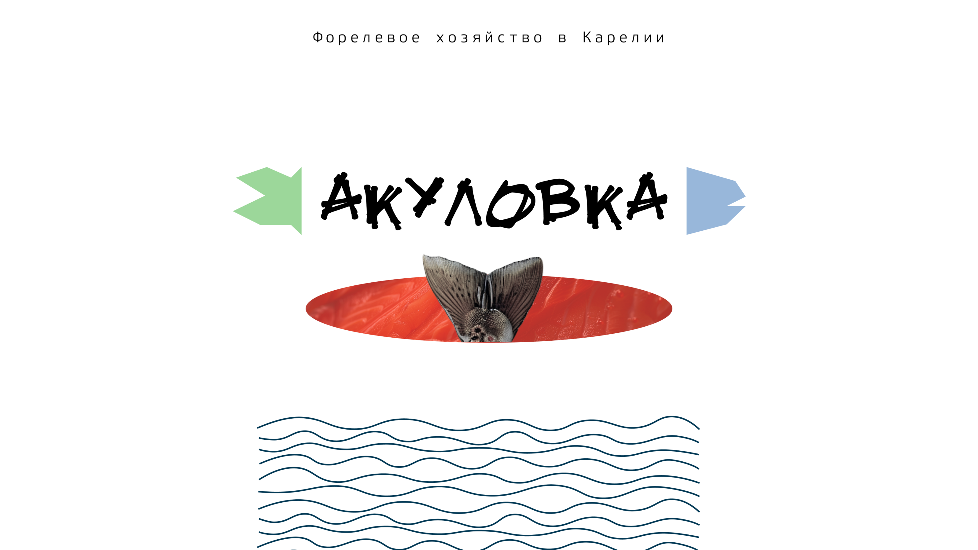 Визуальная концепция бренда — Изображение №1 — Брендинг на Dprofile