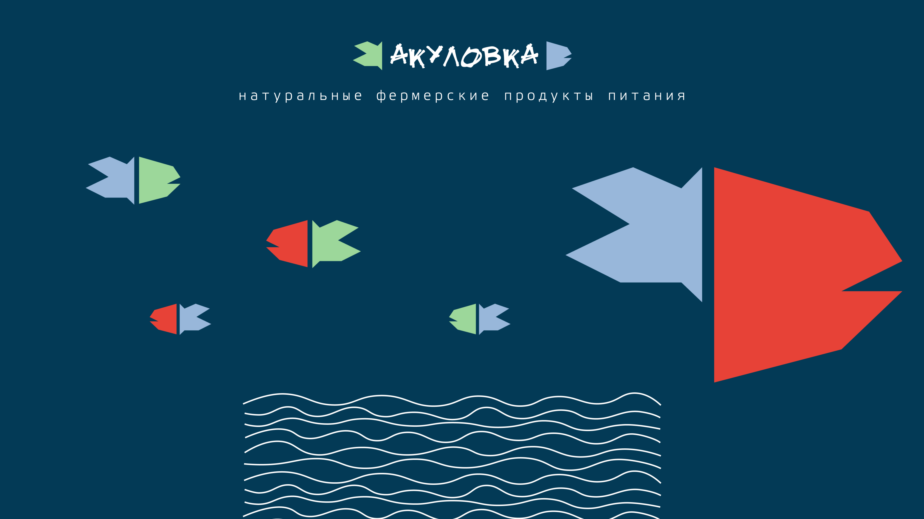 Визуальная концепция бренда — Изображение №2 — Брендинг на Dprofile