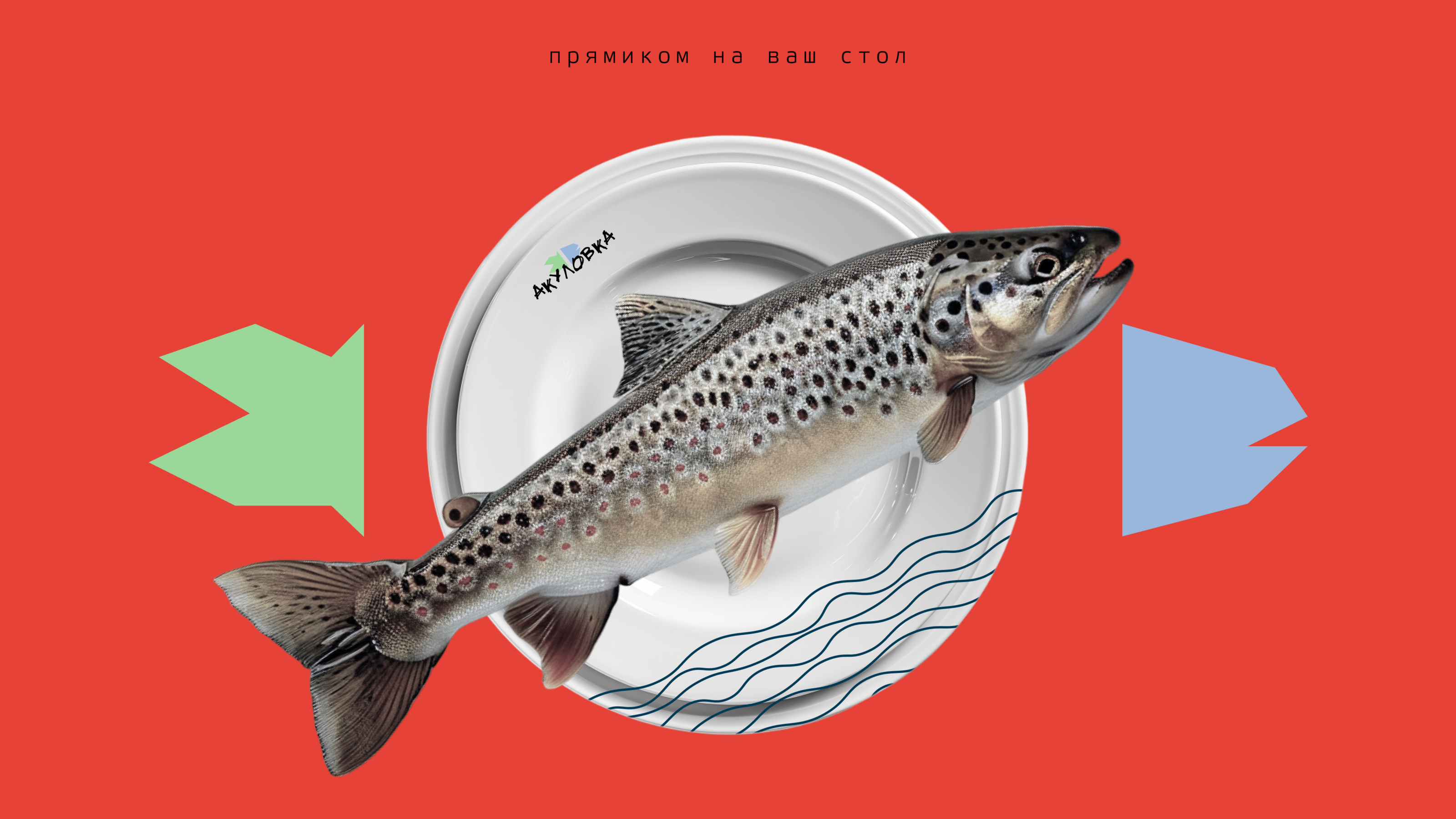 Визуальная концепция бренда — Изображение №4 — Брендинг на Dprofile