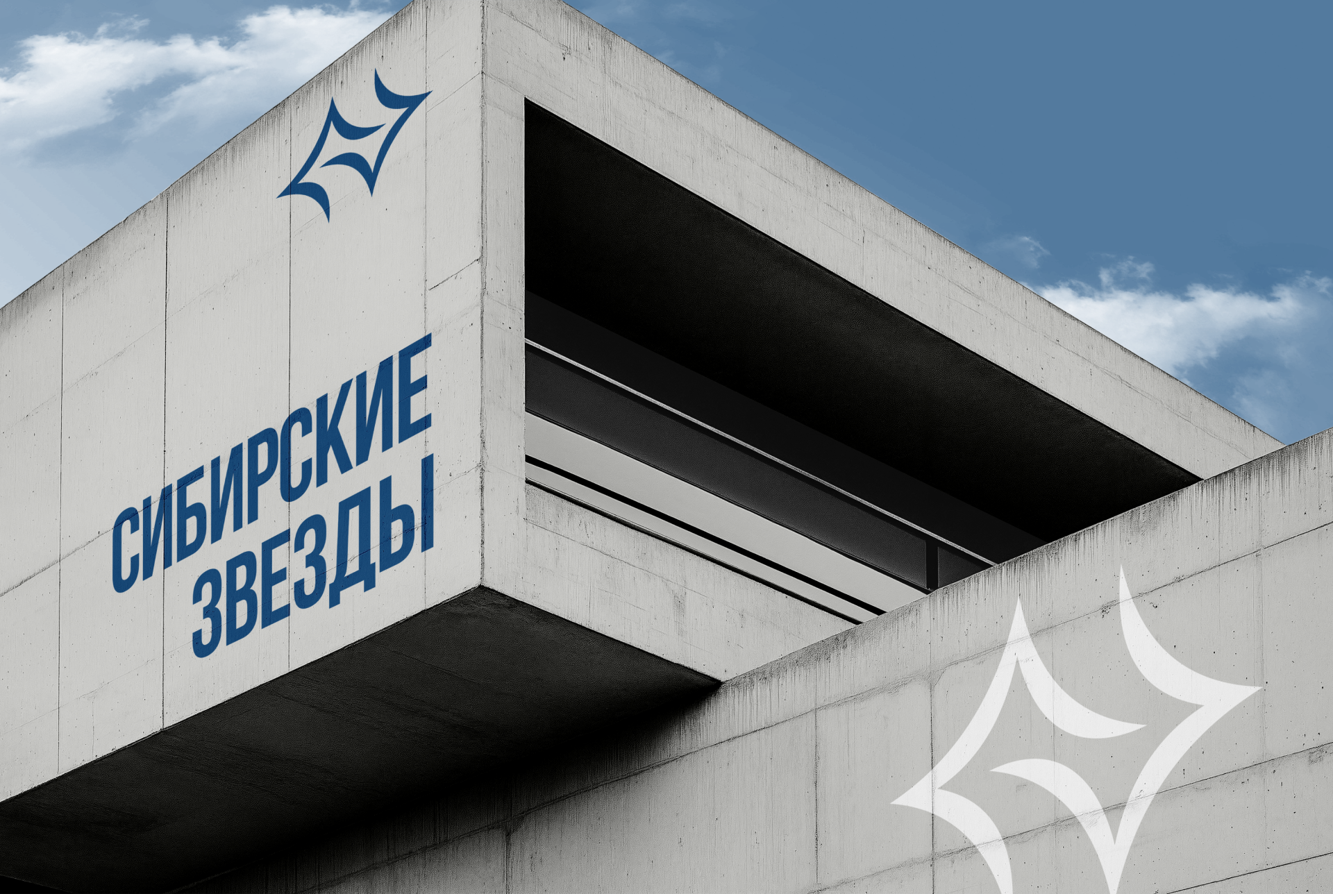 Сибирские звезды — Изображение №3 — Интерфейсы, Брендинг на Dprofile