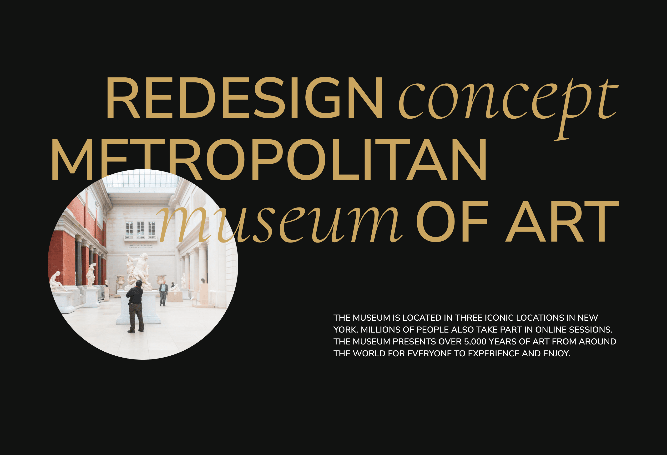 Metropolitan museum of art. Web concept — Изображение №1 — Интерфейсы, Анимация на Dprofile
