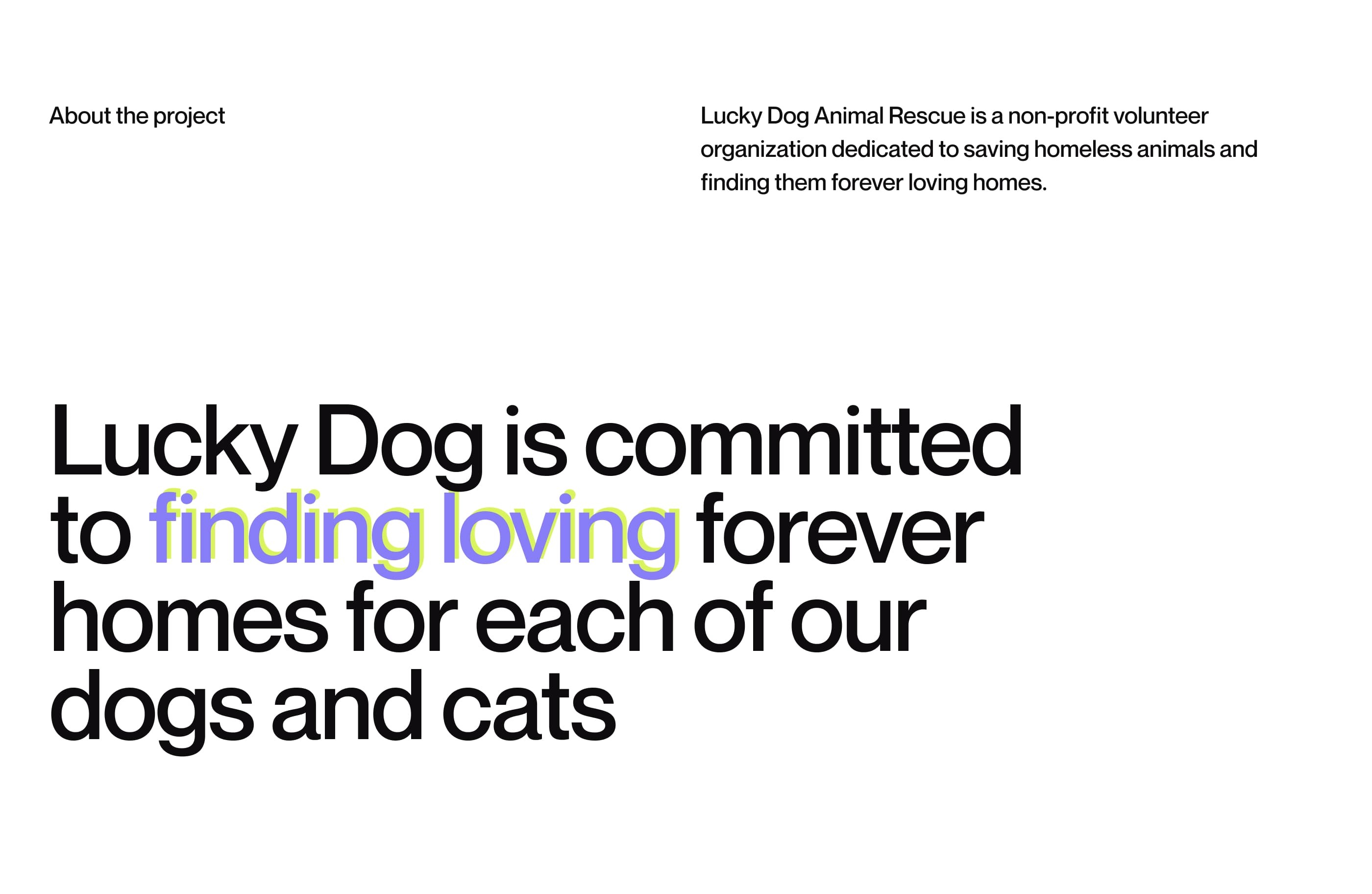 Lucky Dog. 2023 — Изображение №2 — Интерфейсы на Dprofile