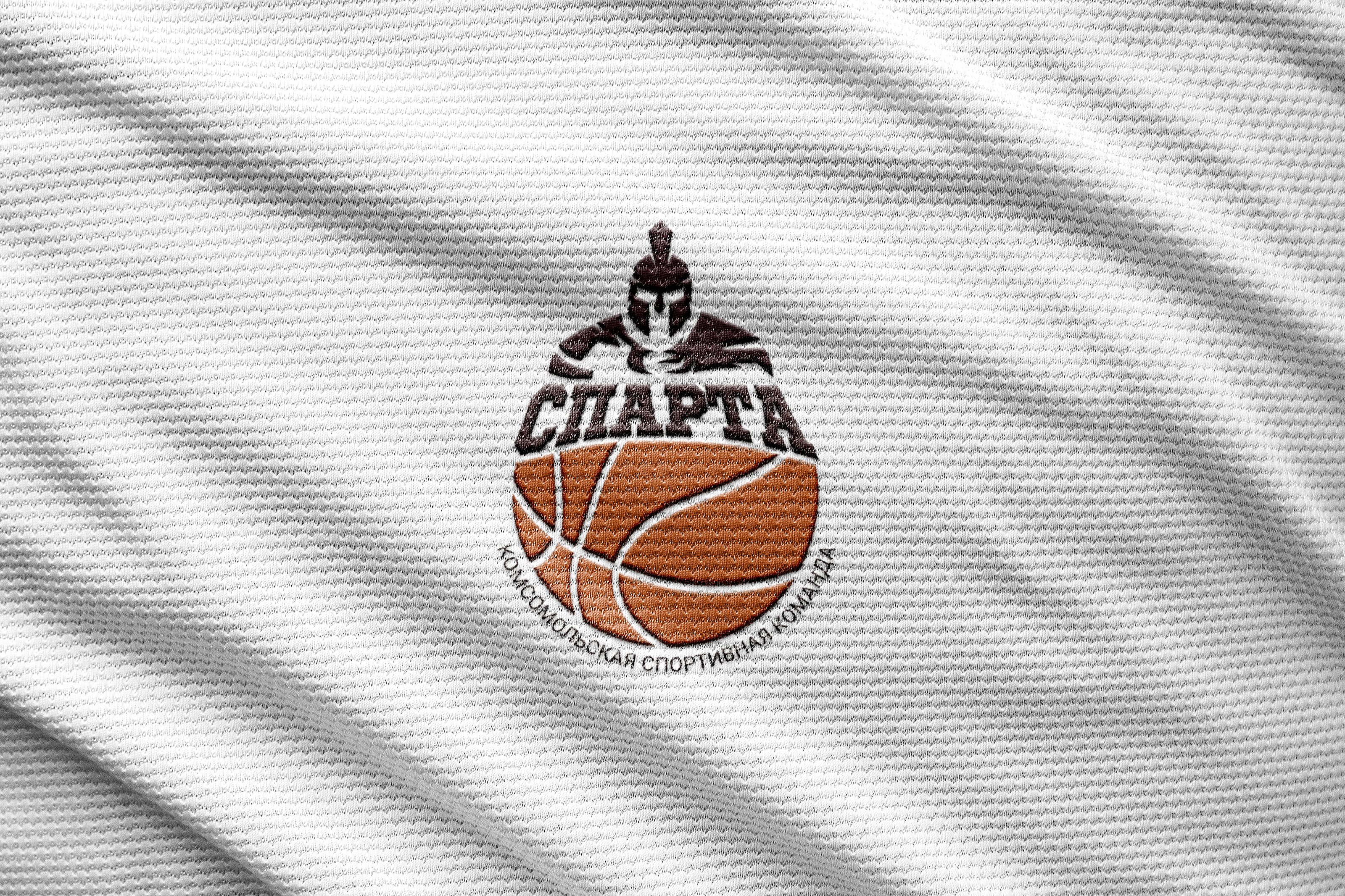 Спарта | Спортивный логотип — Изображение №1 — Брендинг на Dprofile