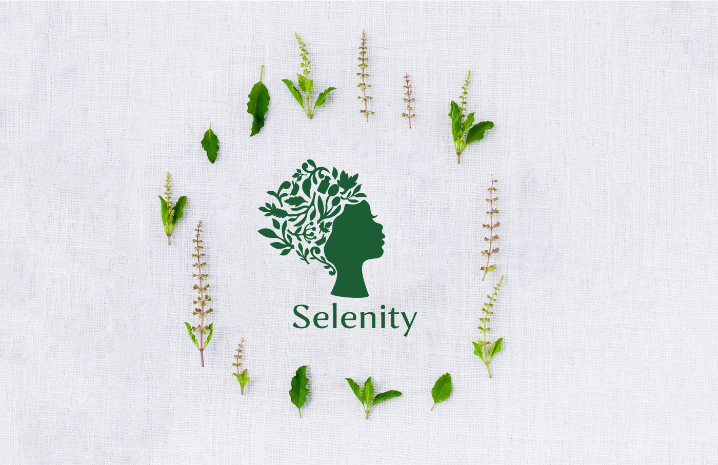 Selenity | Брендинг — Изображение №1 — Брендинг на Dprofile