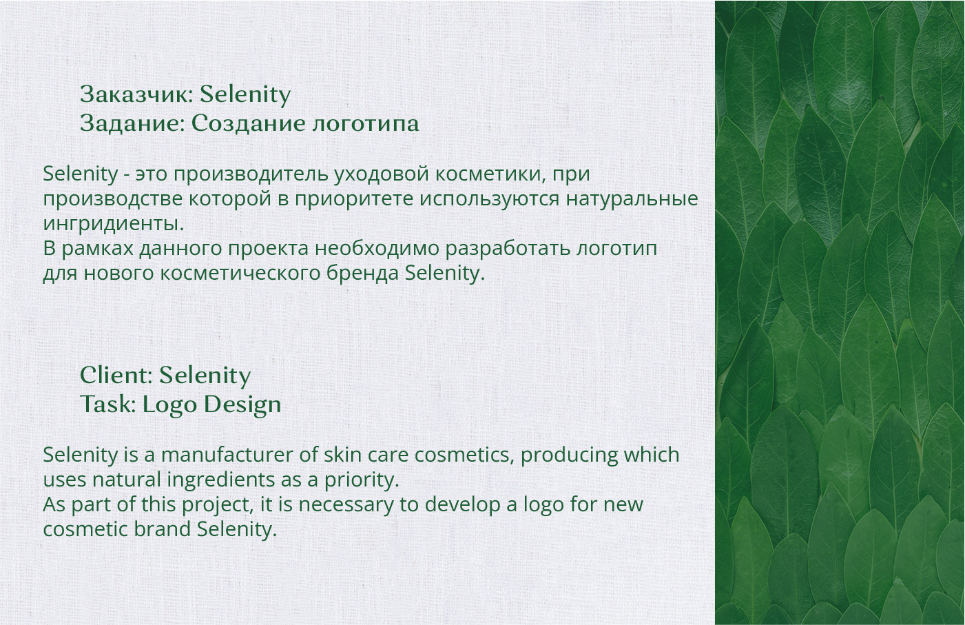 Selenity | Брендинг — Изображение №2 — Брендинг на Dprofile