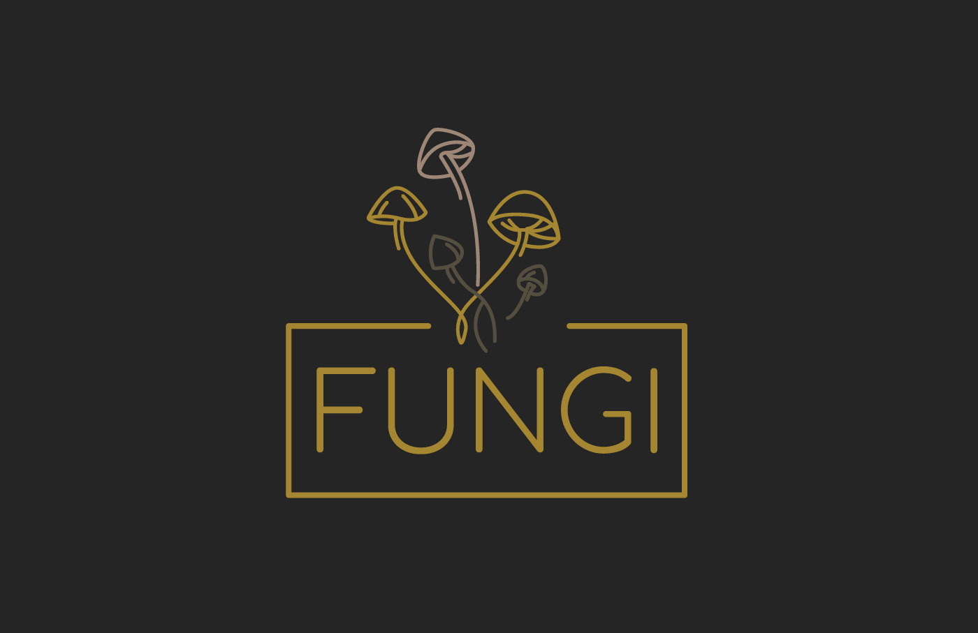 FUNGI | Брендинг — Изображение №1 — Брендинг на Dprofile