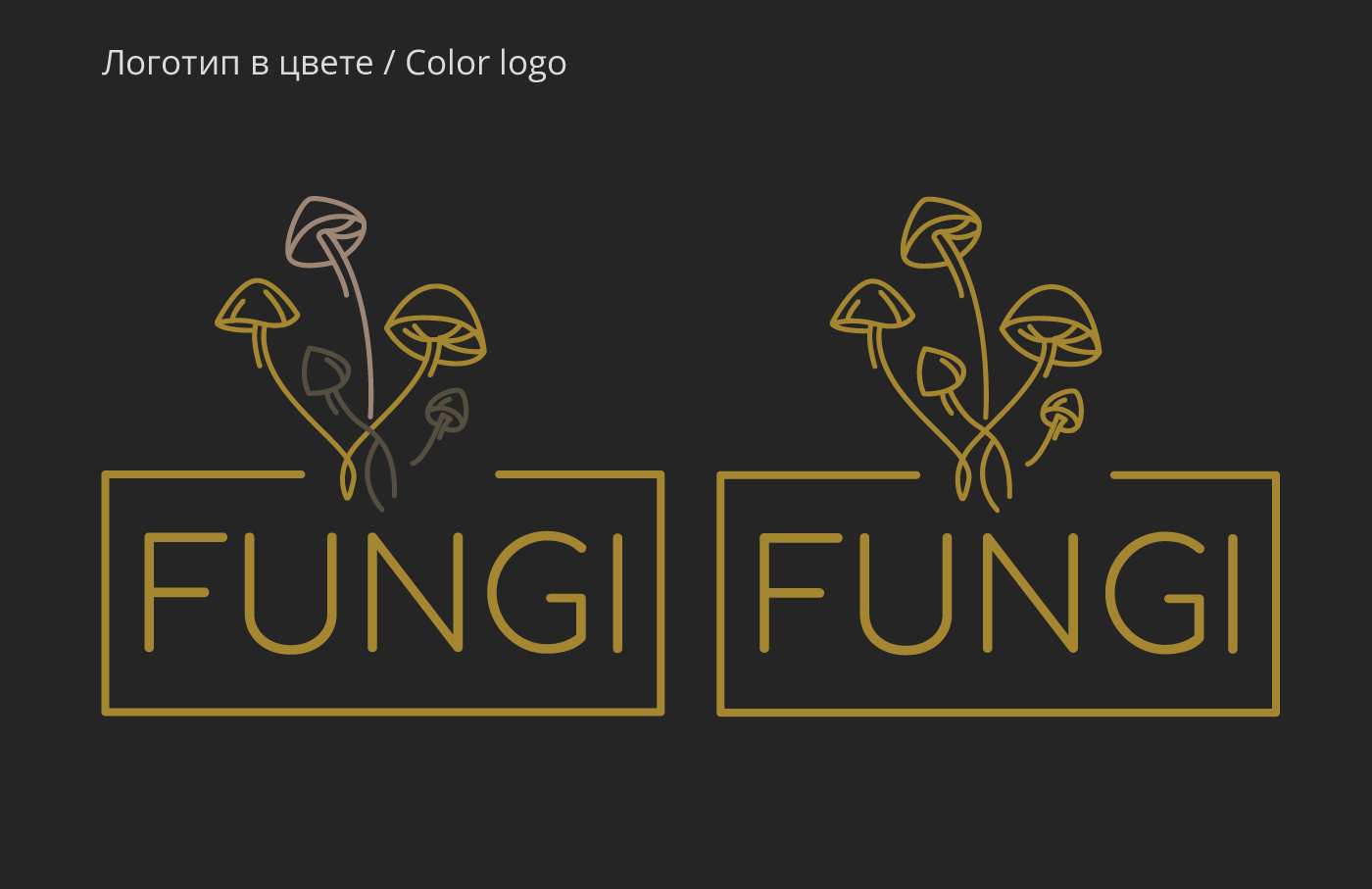 FUNGI | Брендинг — Изображение №5 — Брендинг на Dprofile