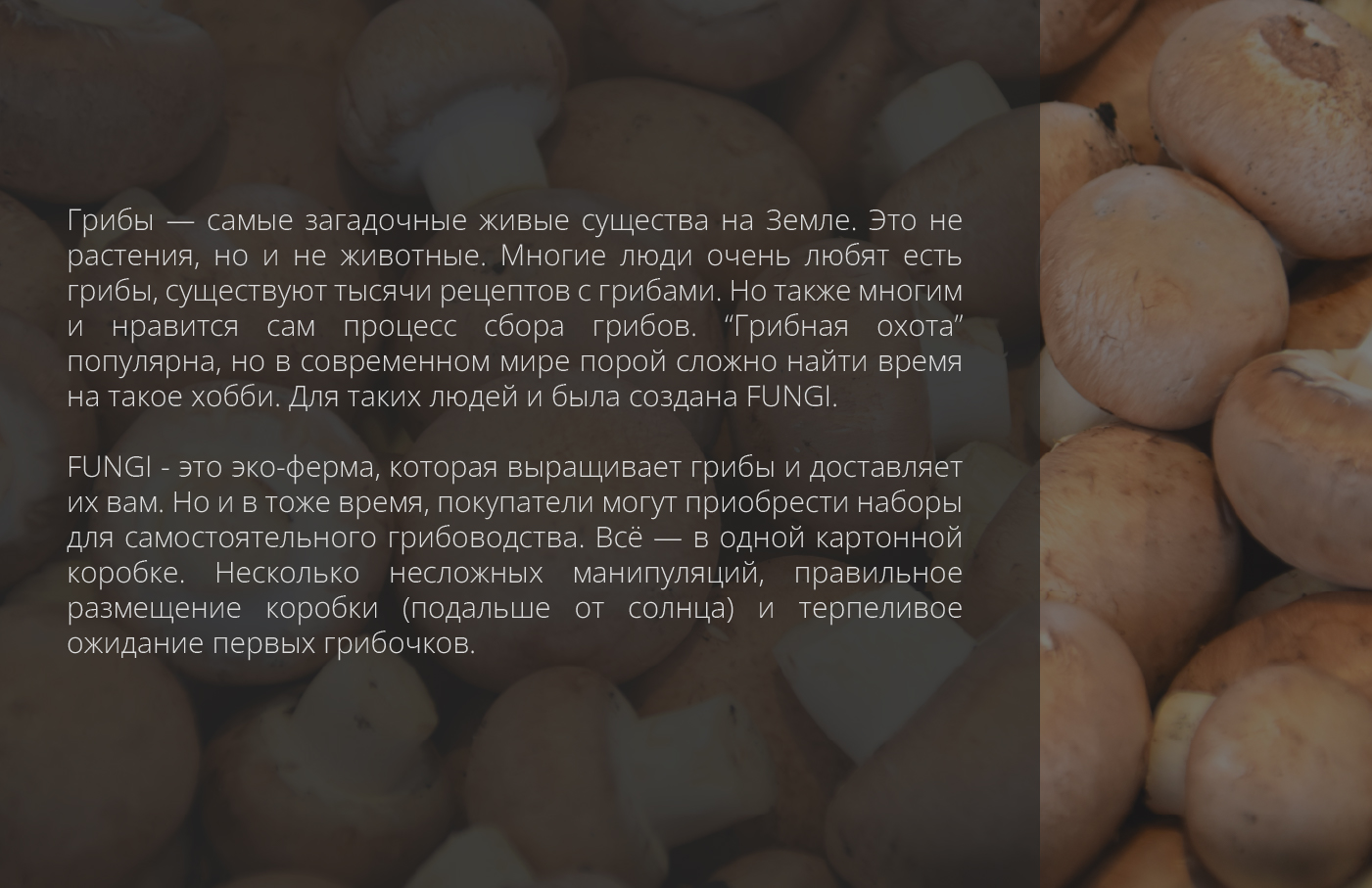 FUNGI | Брендинг — Изображение №2 — Брендинг на Dprofile