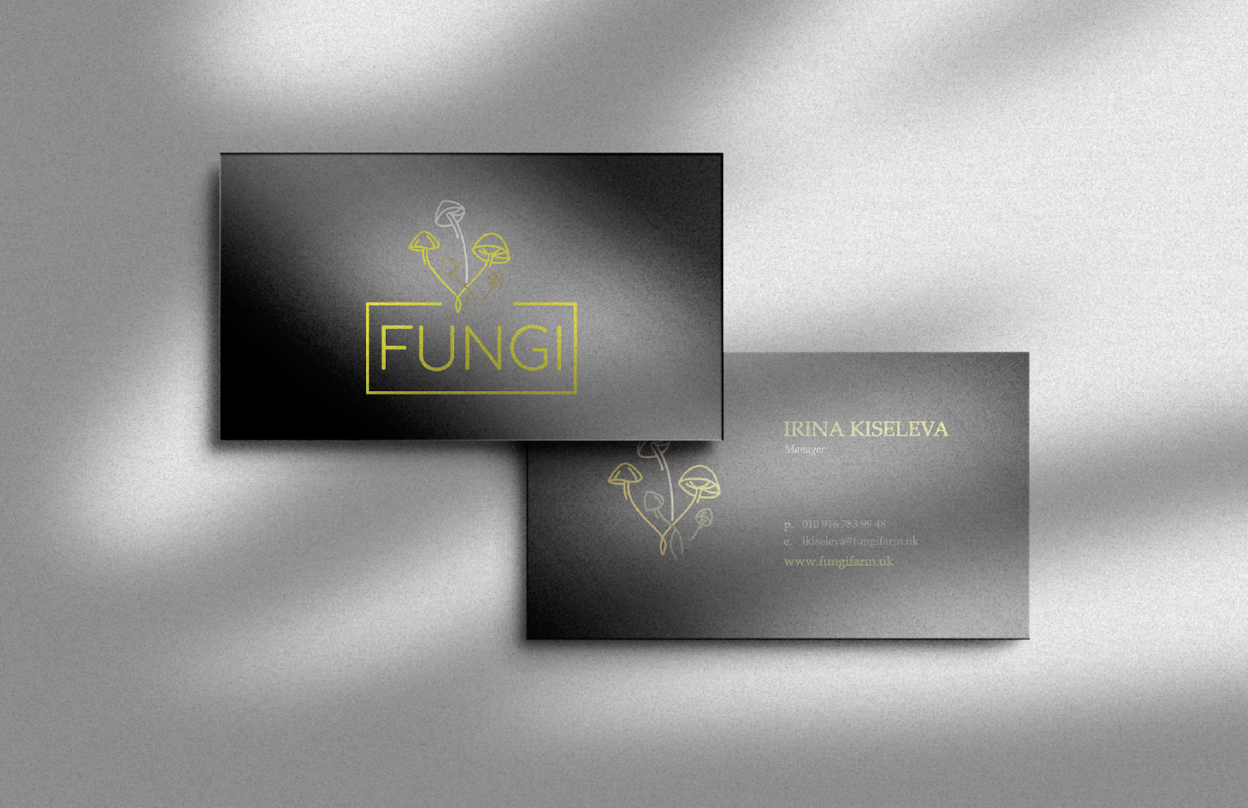 FUNGI | Брендинг — Изображение №13 — Брендинг на Dprofile