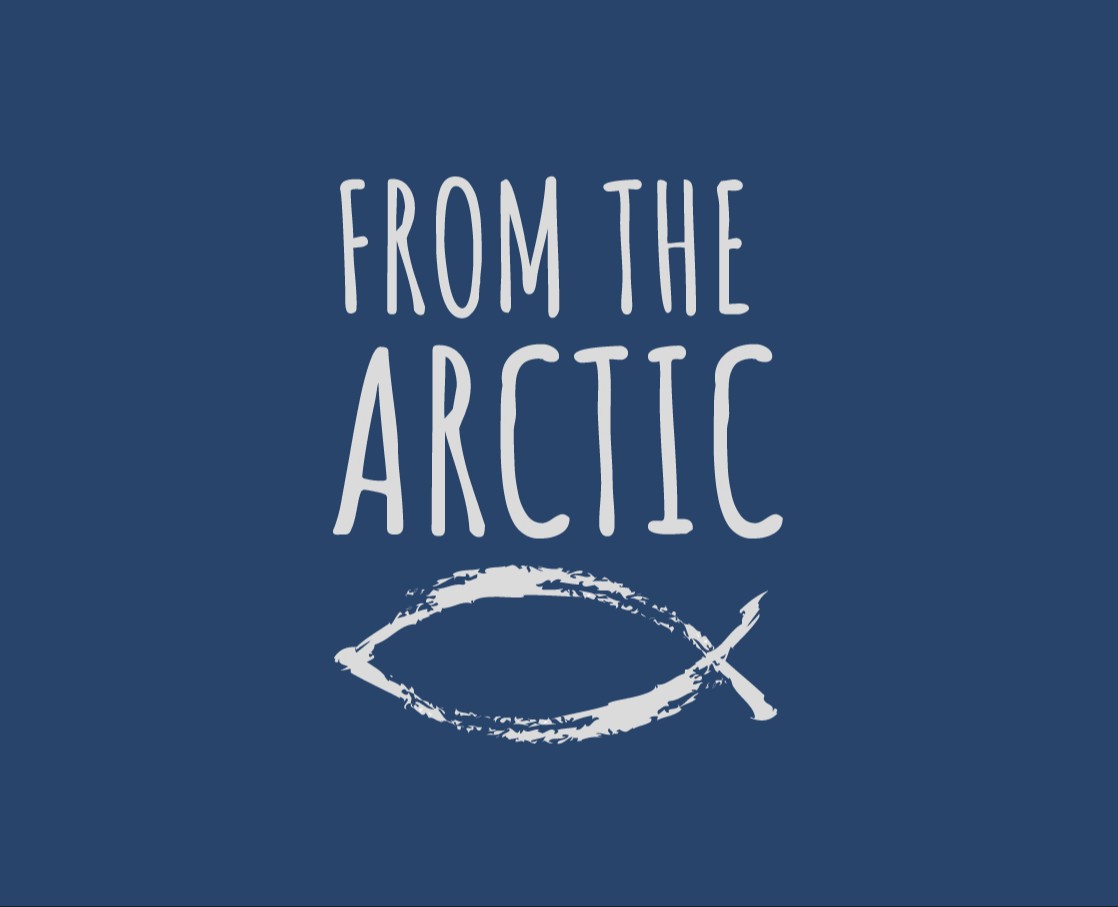 FROM THE ARCTIC — Брендинг на Dprofile
