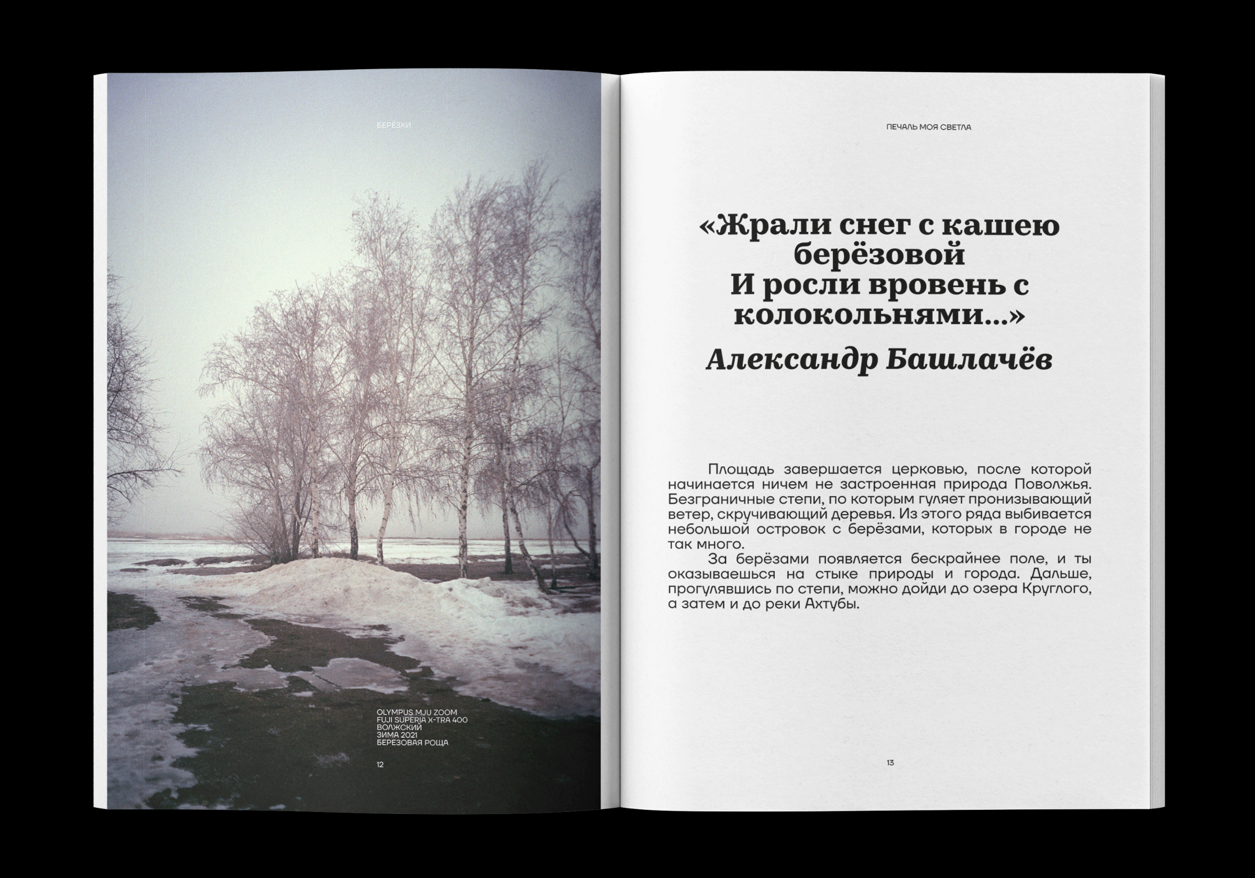 Издание малого типографического формата «печаль моя светла» — Изображение №9 — Графика на Dprofile