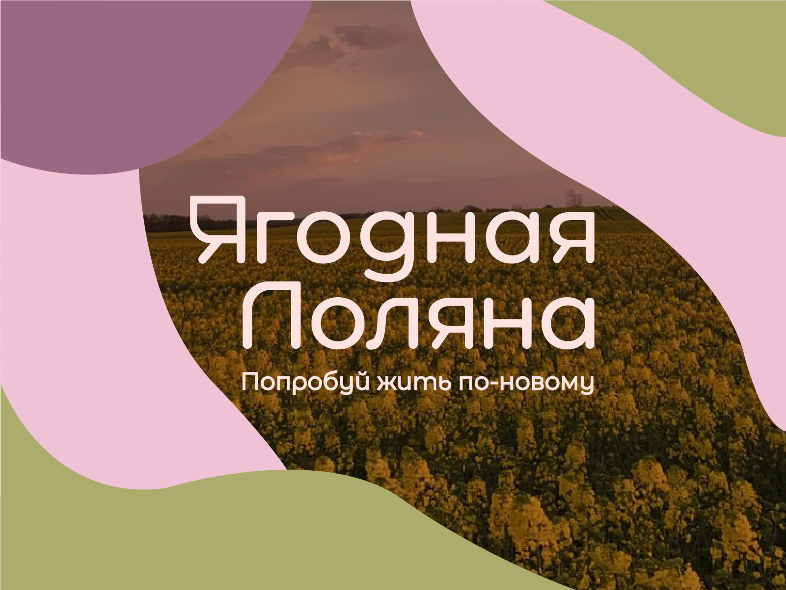 "Ягодная Поляна" — Изображение №1 — Брендинг на Dprofile