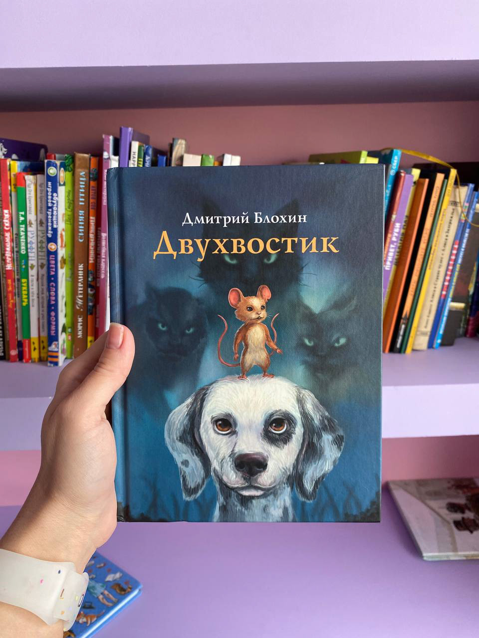 Обложка и иллюстрации для детской книги — Изображение №1 — Иллюстрация, Графика на Dprofile