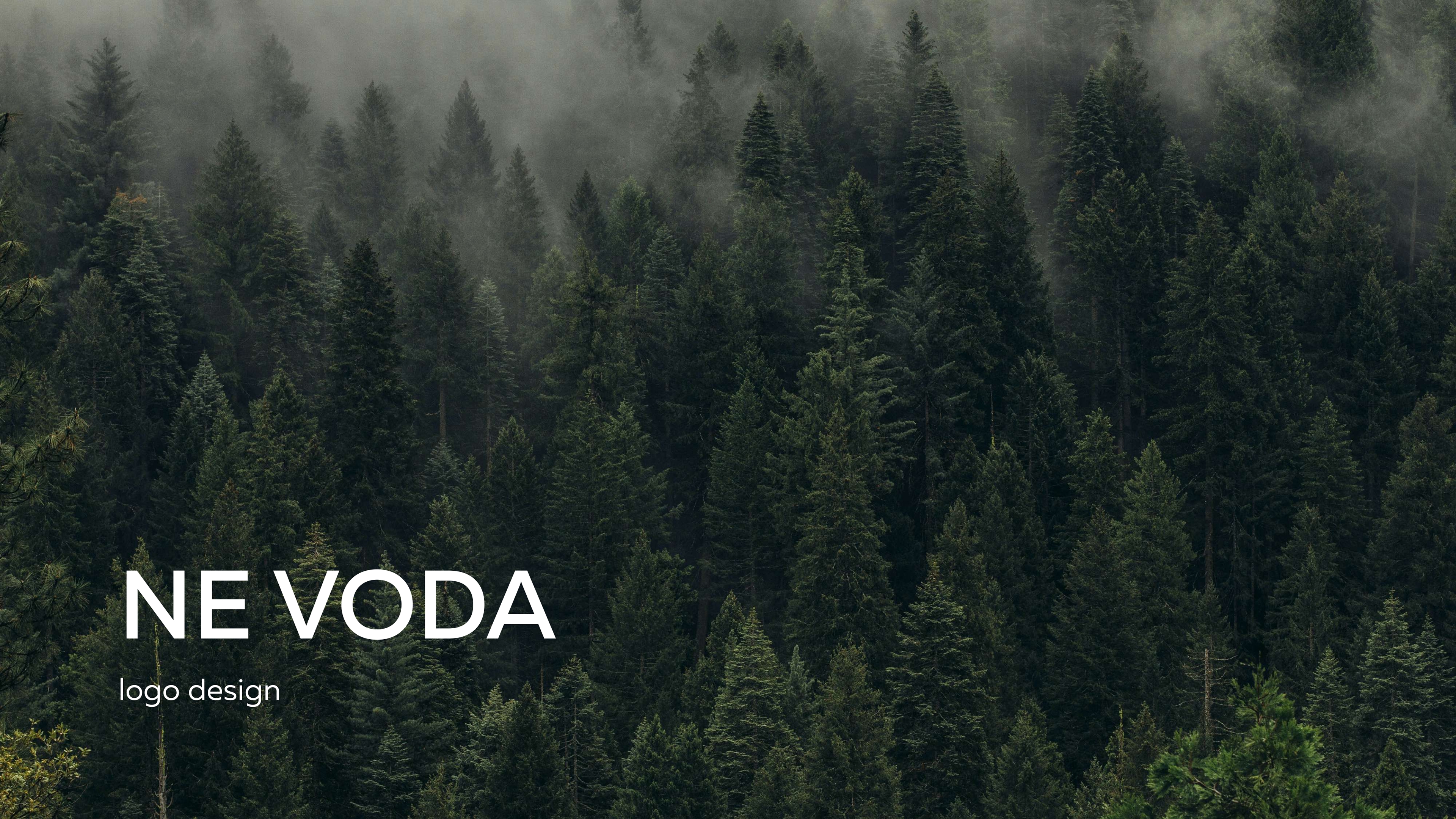 NE VODA — Изображение №1 — Брендинг, Графика на Dprofile
