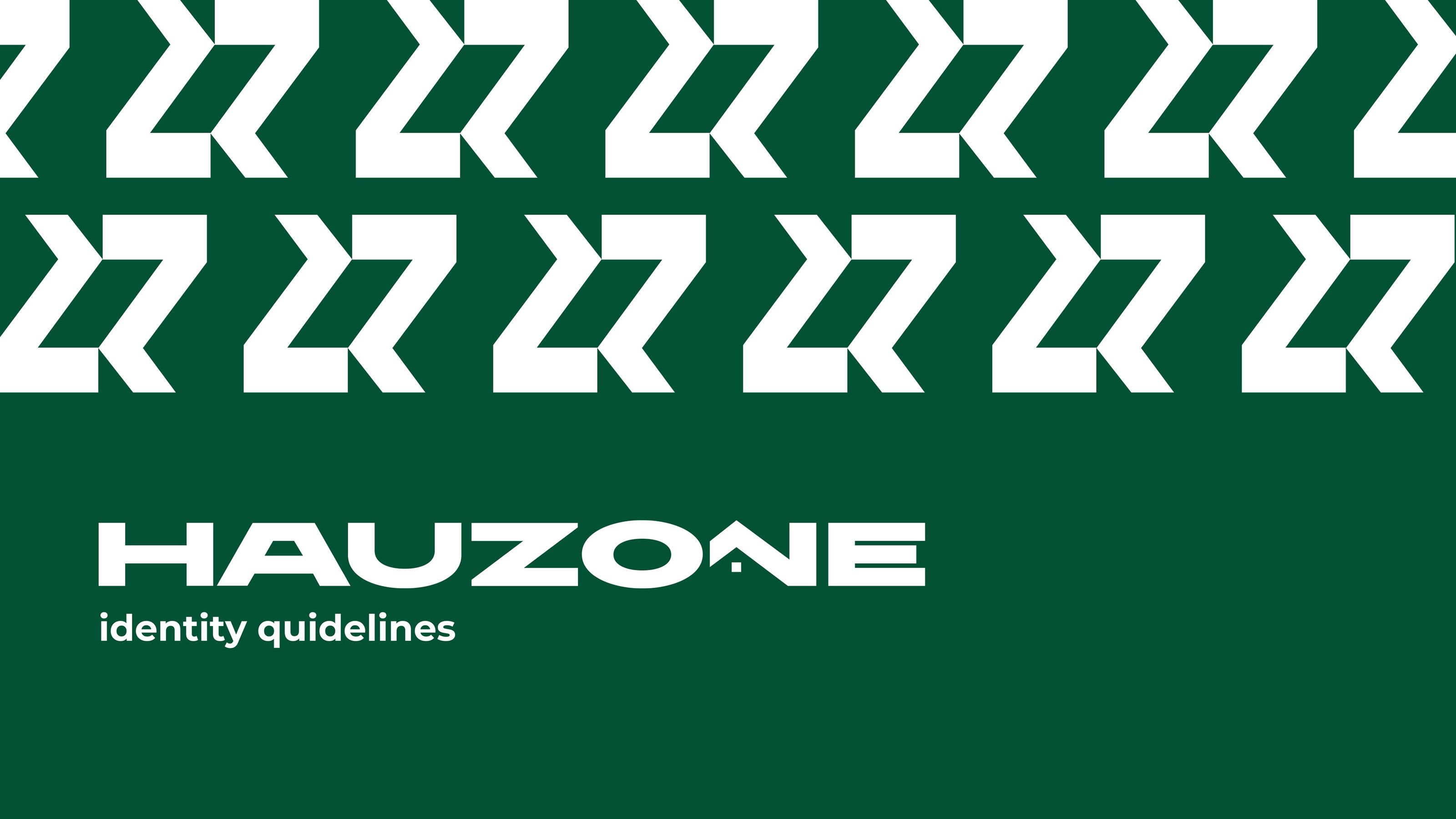 HAUZONE — Изображение №1 — Брендинг на Dprofile