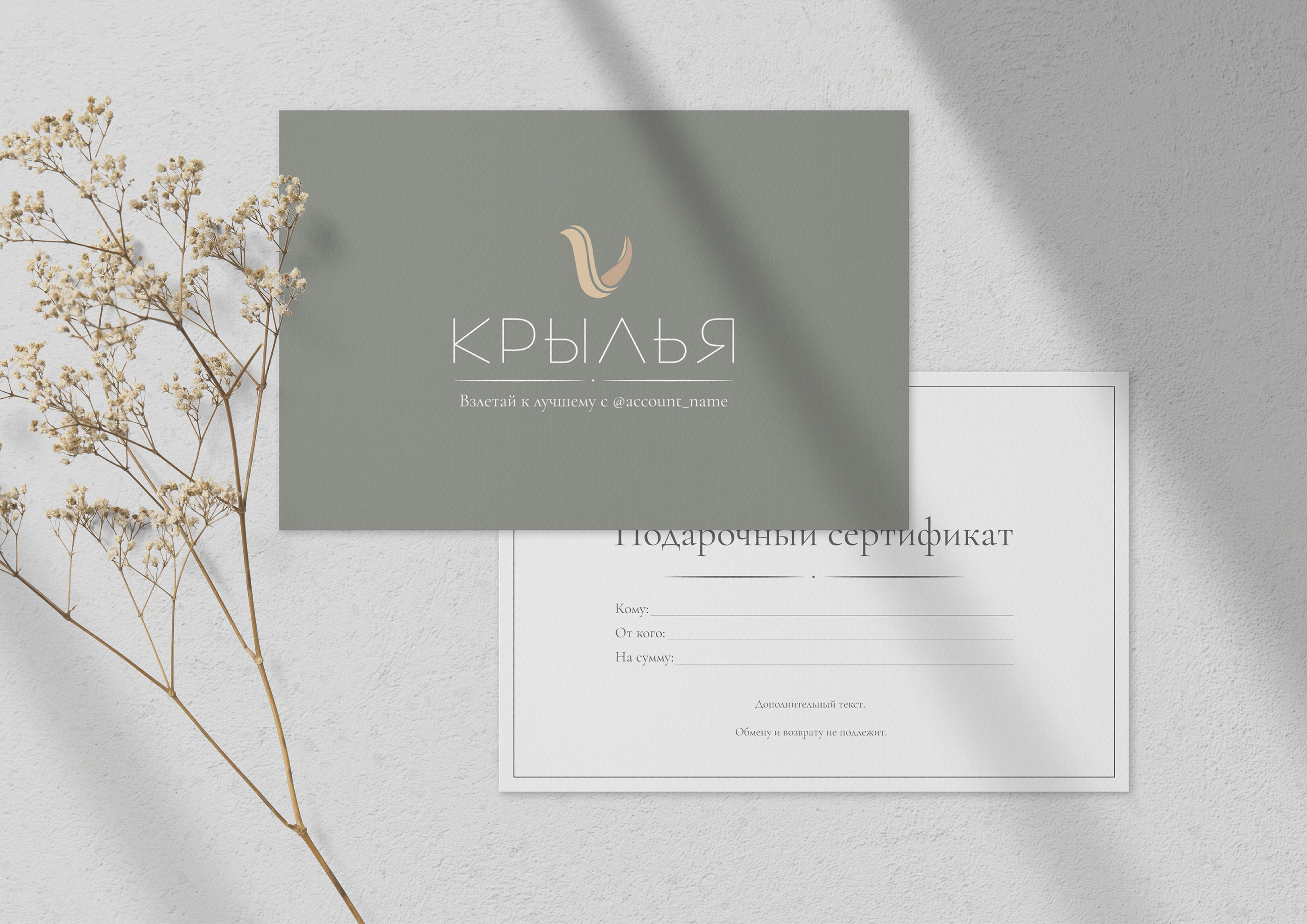 Фирменный стиль. Компания. Курсы по саморазвитию. — Изображение №6 — Брендинг на Dprofile