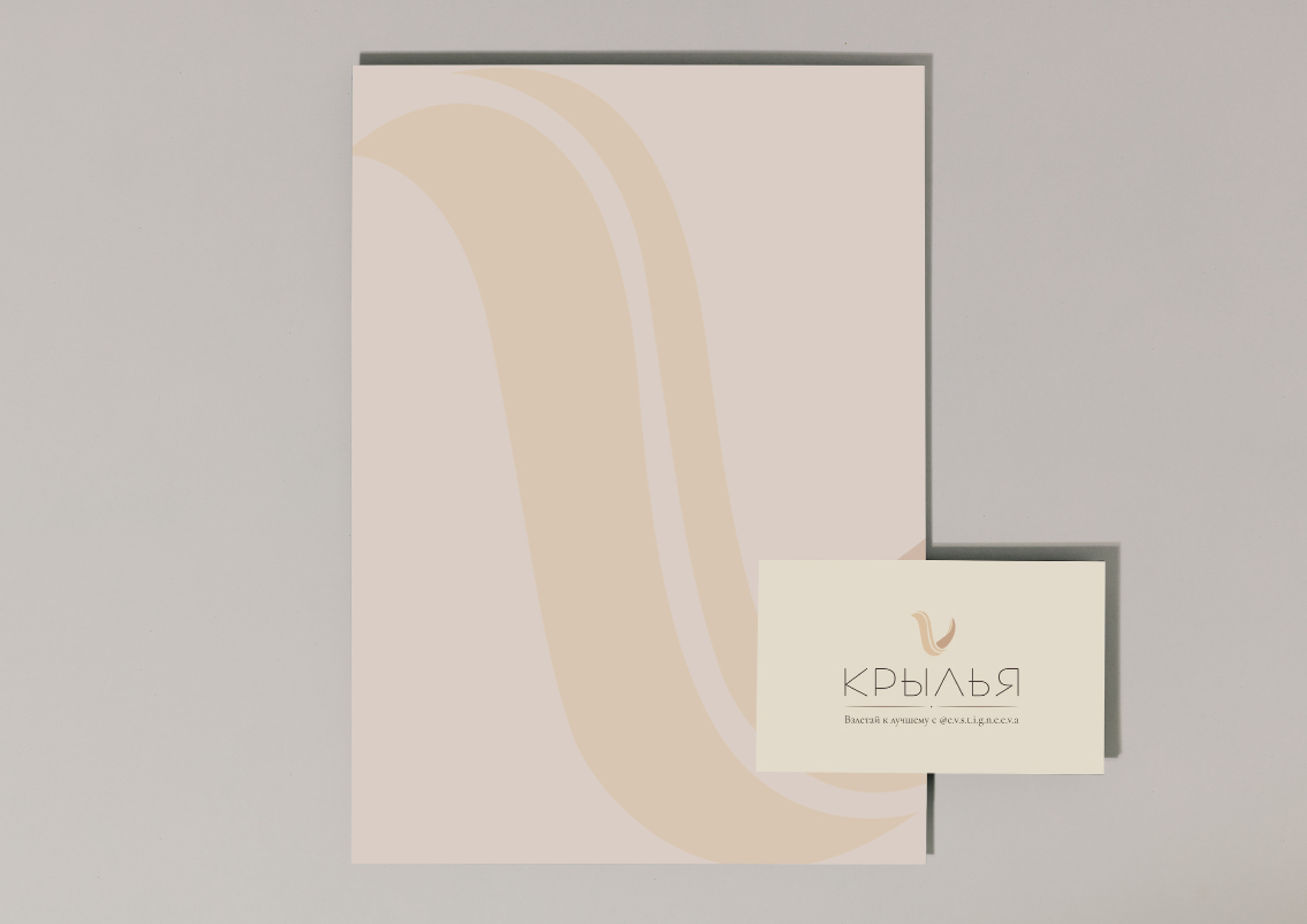 Фирменный стиль. Компания. Курсы по саморазвитию. — Изображение №5 — Брендинг на Dprofile