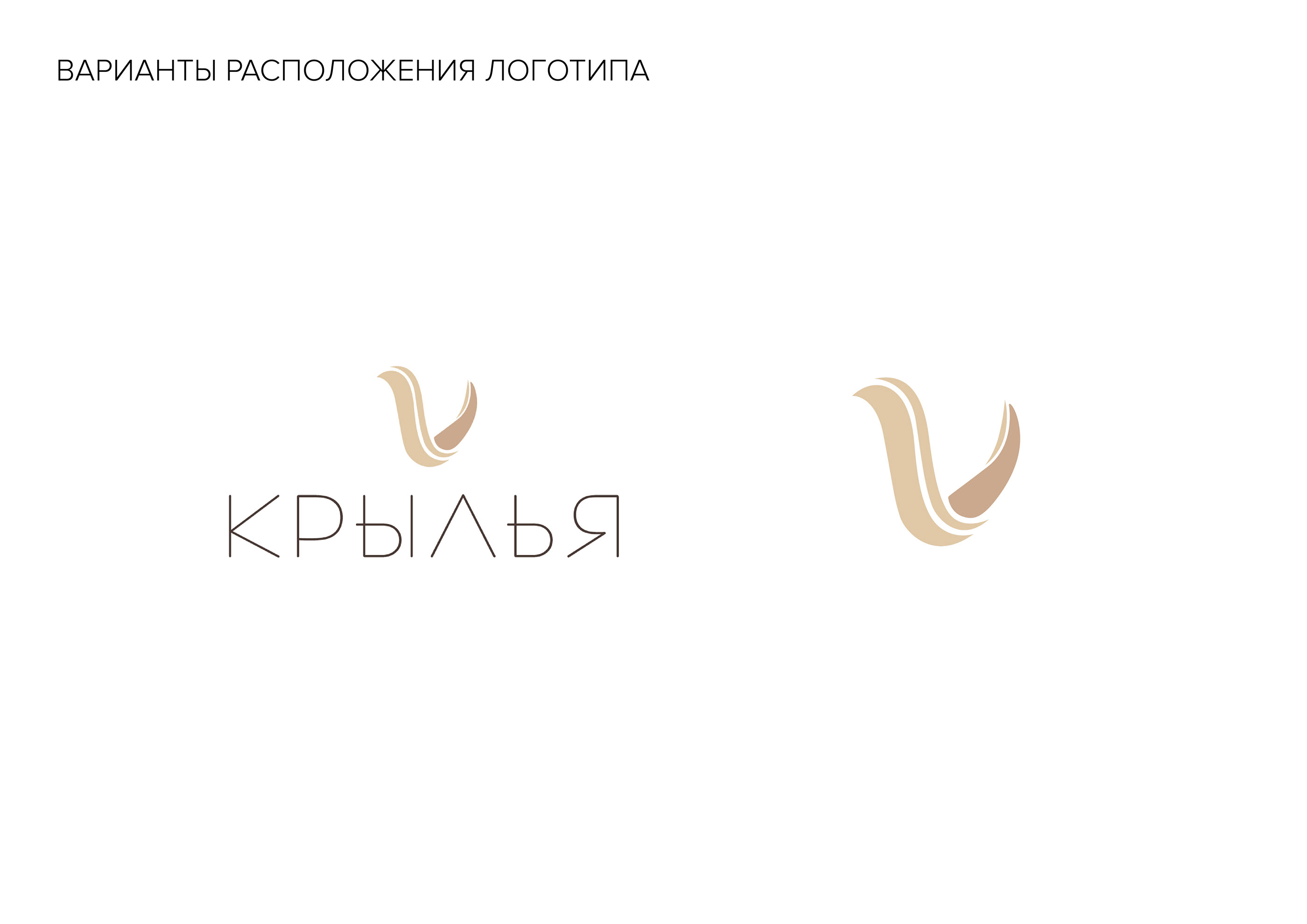 Фирменный стиль. Компания. Курсы по саморазвитию. — Изображение №3 — Брендинг на Dprofile
