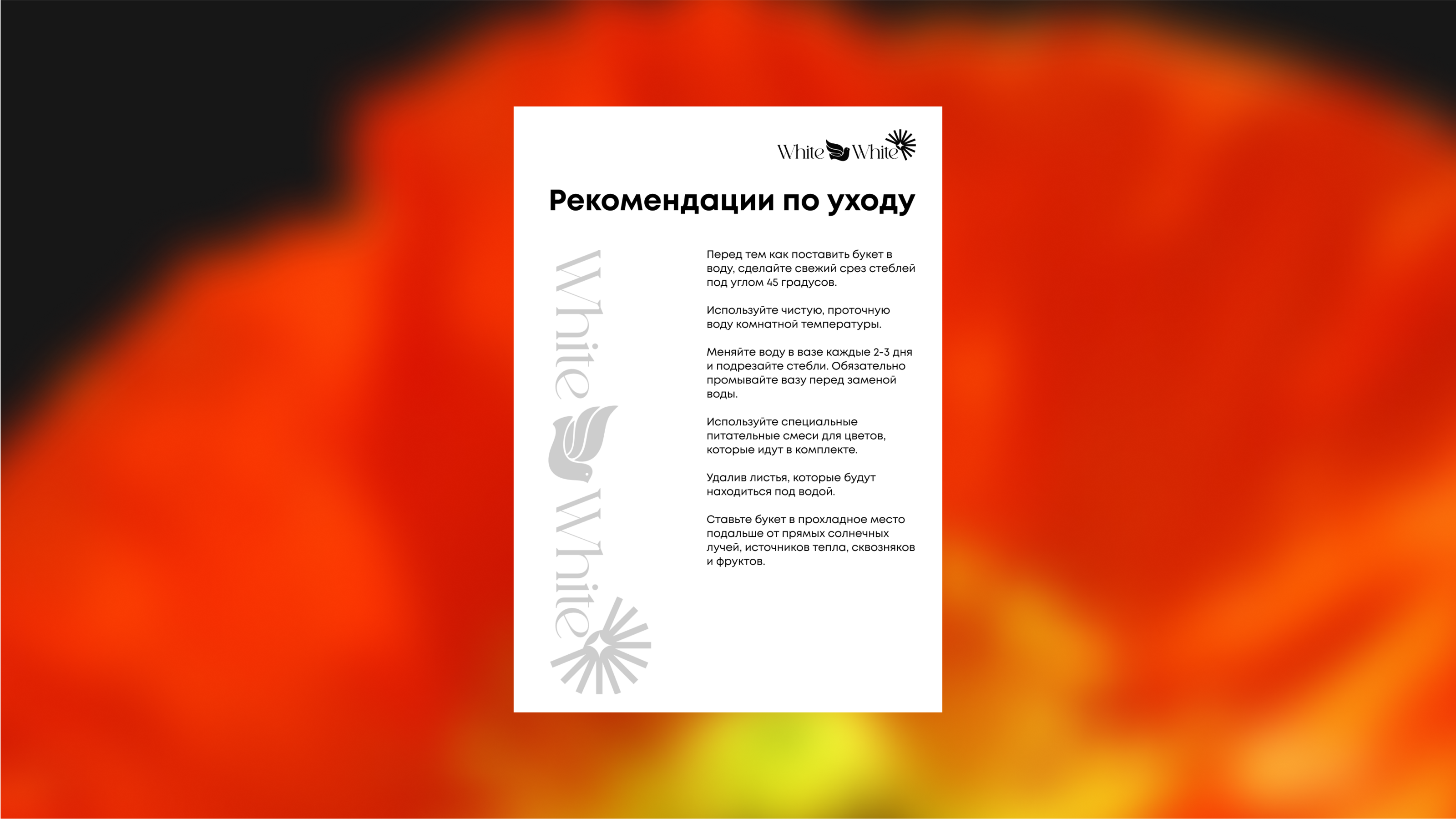 White on White LOGO — Изображение №15 — Брендинг на Dprofile