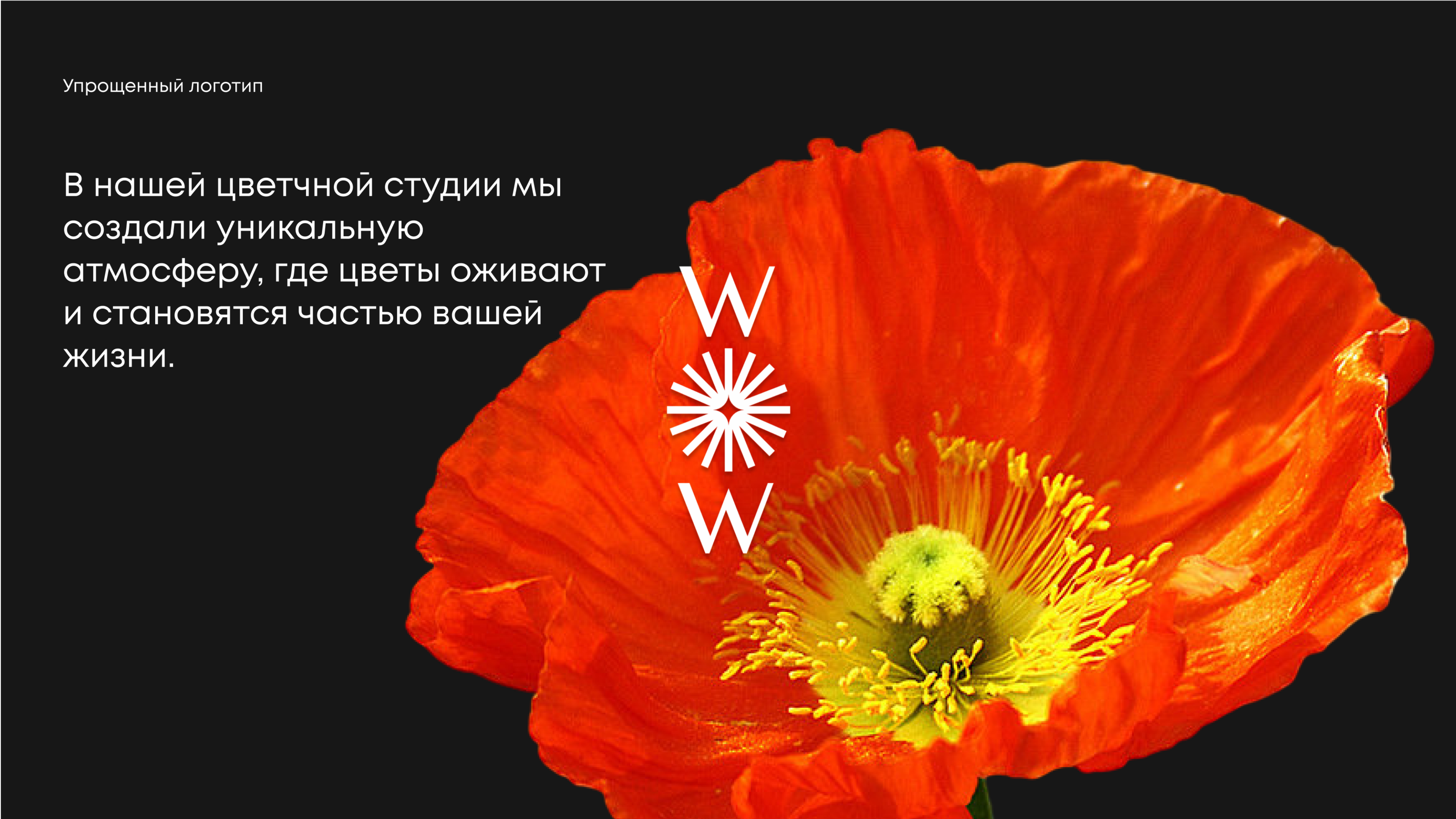White on White LOGO — Изображение №5 — Брендинг на Dprofile
