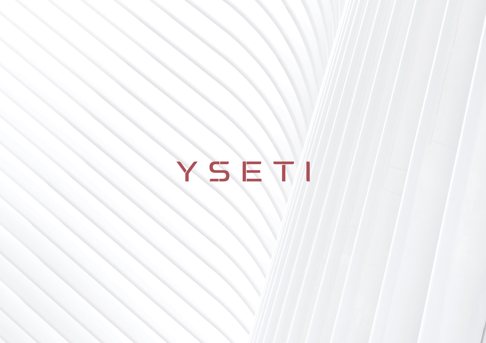 LOGO | YSETI — Изображение №12 — Брендинг на Dprofile
