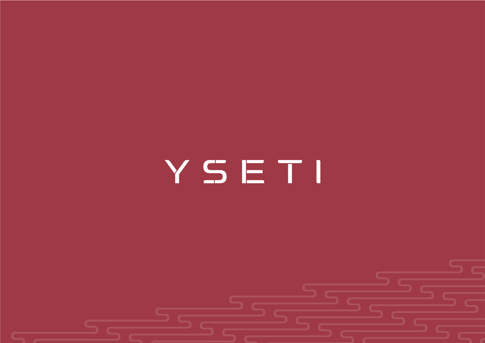LOGO | YSETI — Изображение №1 — Брендинг на Dprofile