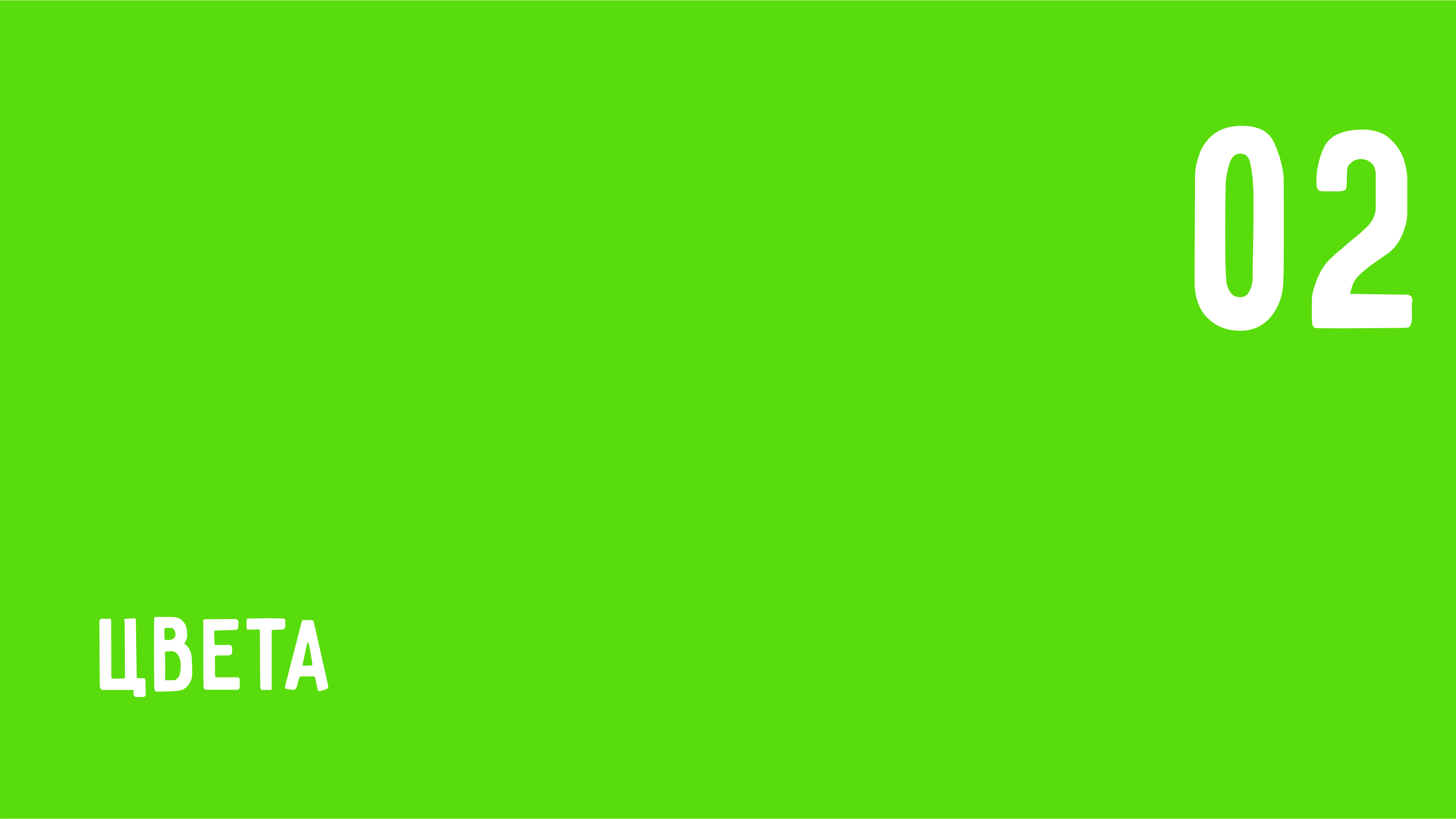 LOGO | САХАФРУКТАТА (якутский язык) — Изображение №10 — Брендинг на Dprofile