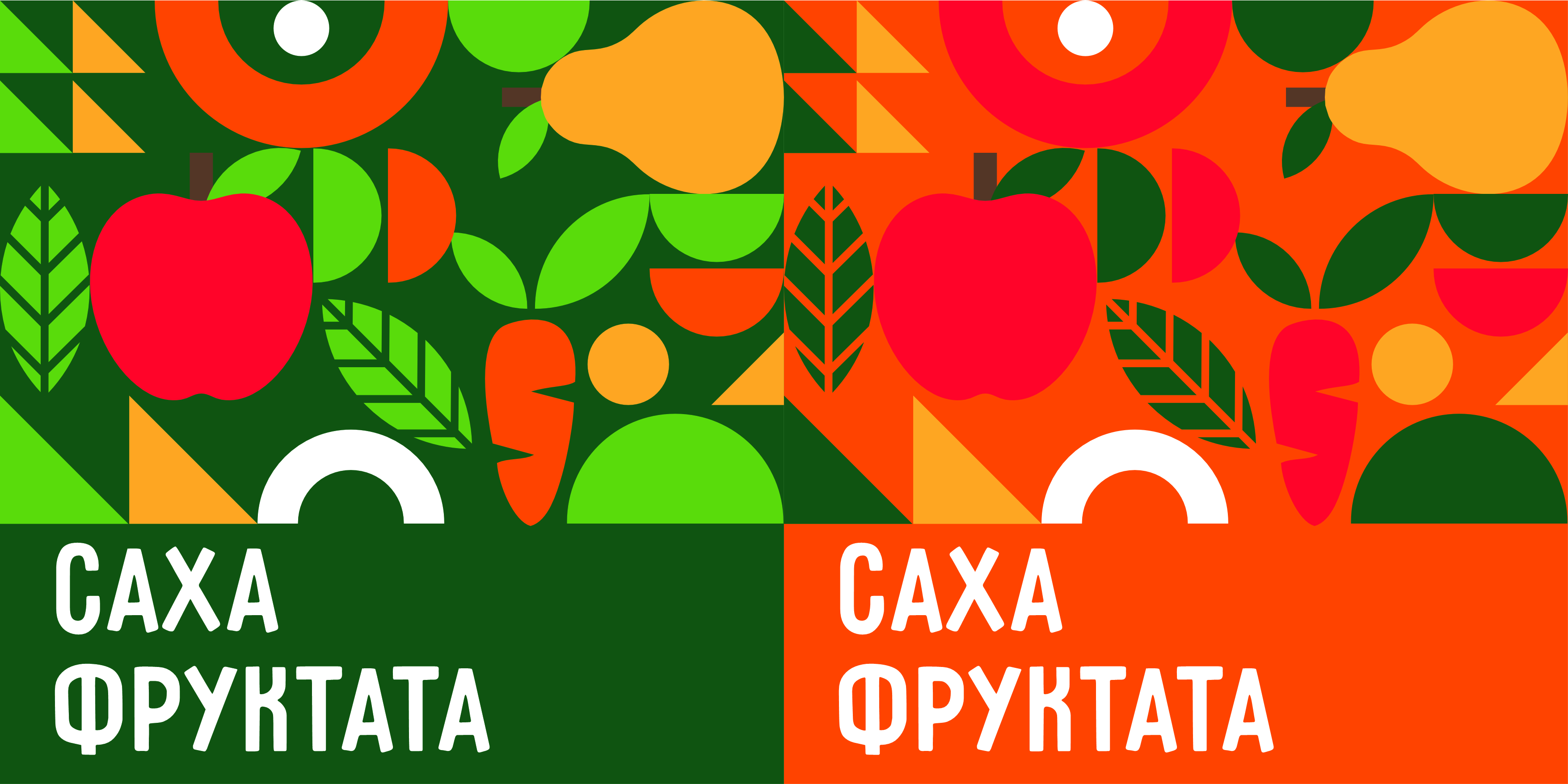 LOGO | САХАФРУКТАТА (якутский язык) — Изображение №16 — Брендинг на Dprofile