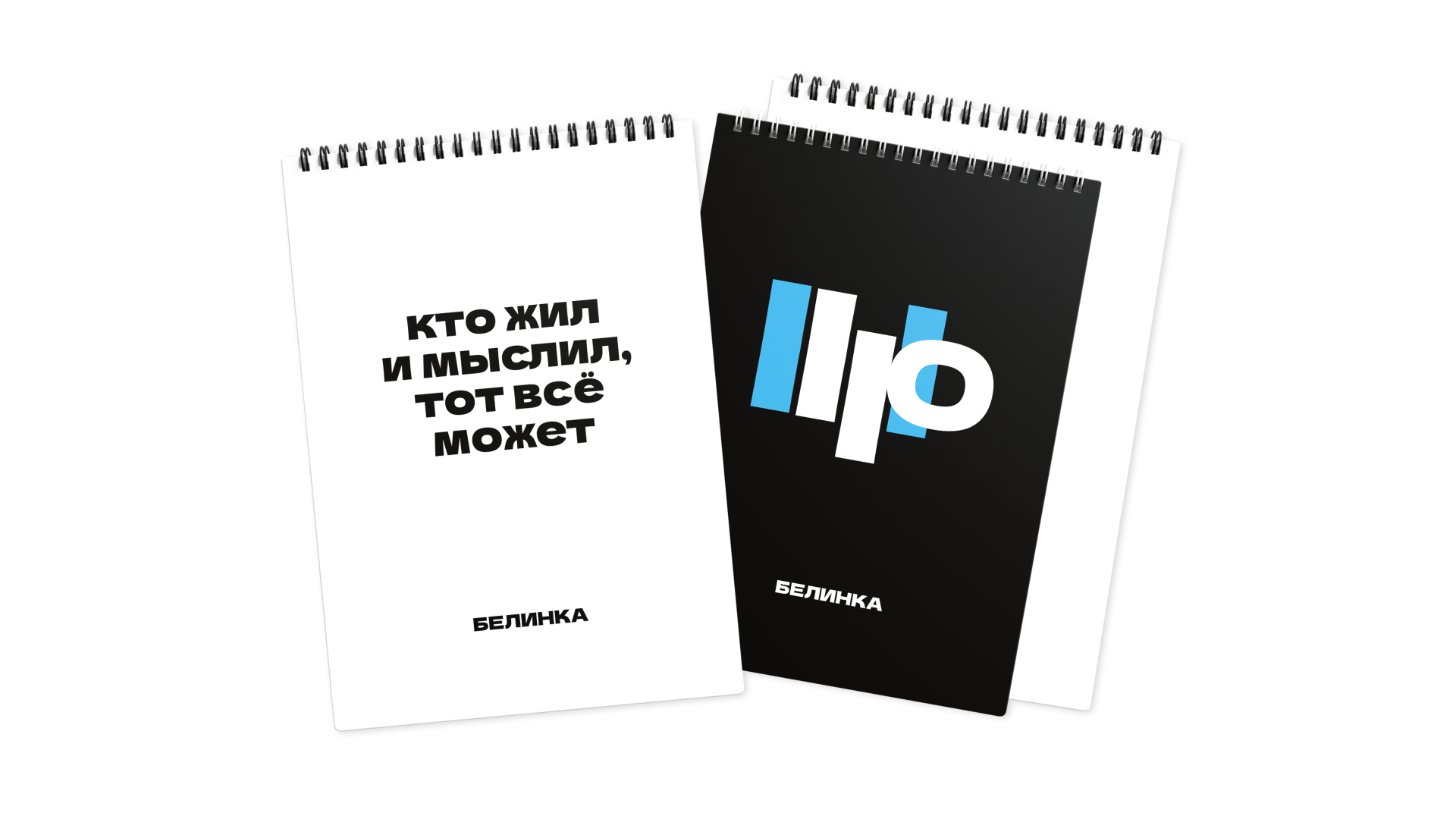 Айдентика для библиотеки Белинского — Изображение №19 — Брендинг, Графика на Dprofile