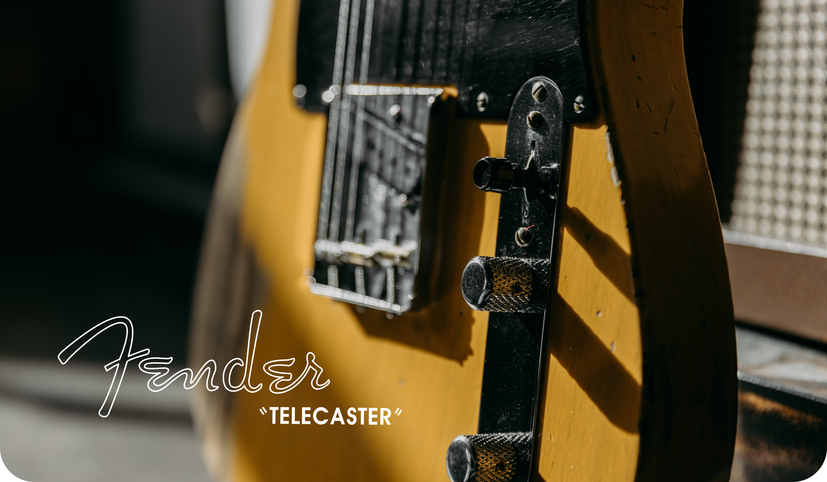 FENDER TELECASTER • ONLINE STORE CONCEPT — Изображение №1 — Интерфейсы на Dprofile