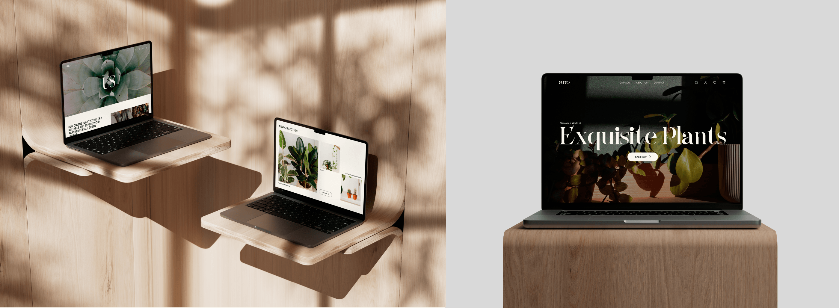 FUTO — E-commerce Design — Изображение №2 — Интерфейсы, Анимация на Dprofile