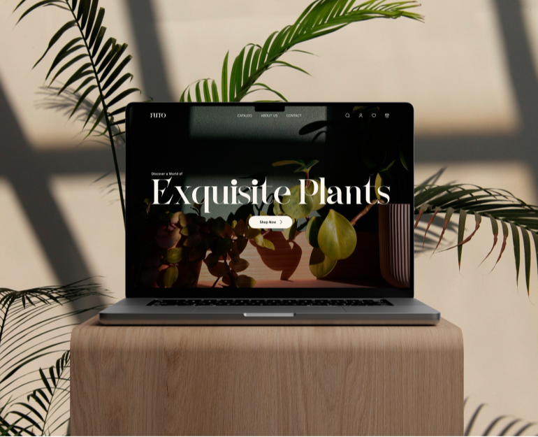 FUTO — E-commerce Design — Интерфейсы, Анимация на Dprofile