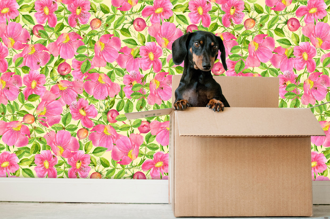 Print wild flowers. Pattern - for fabric, stationery — Изображение №4 — Иллюстрация, Графика на Dprofile