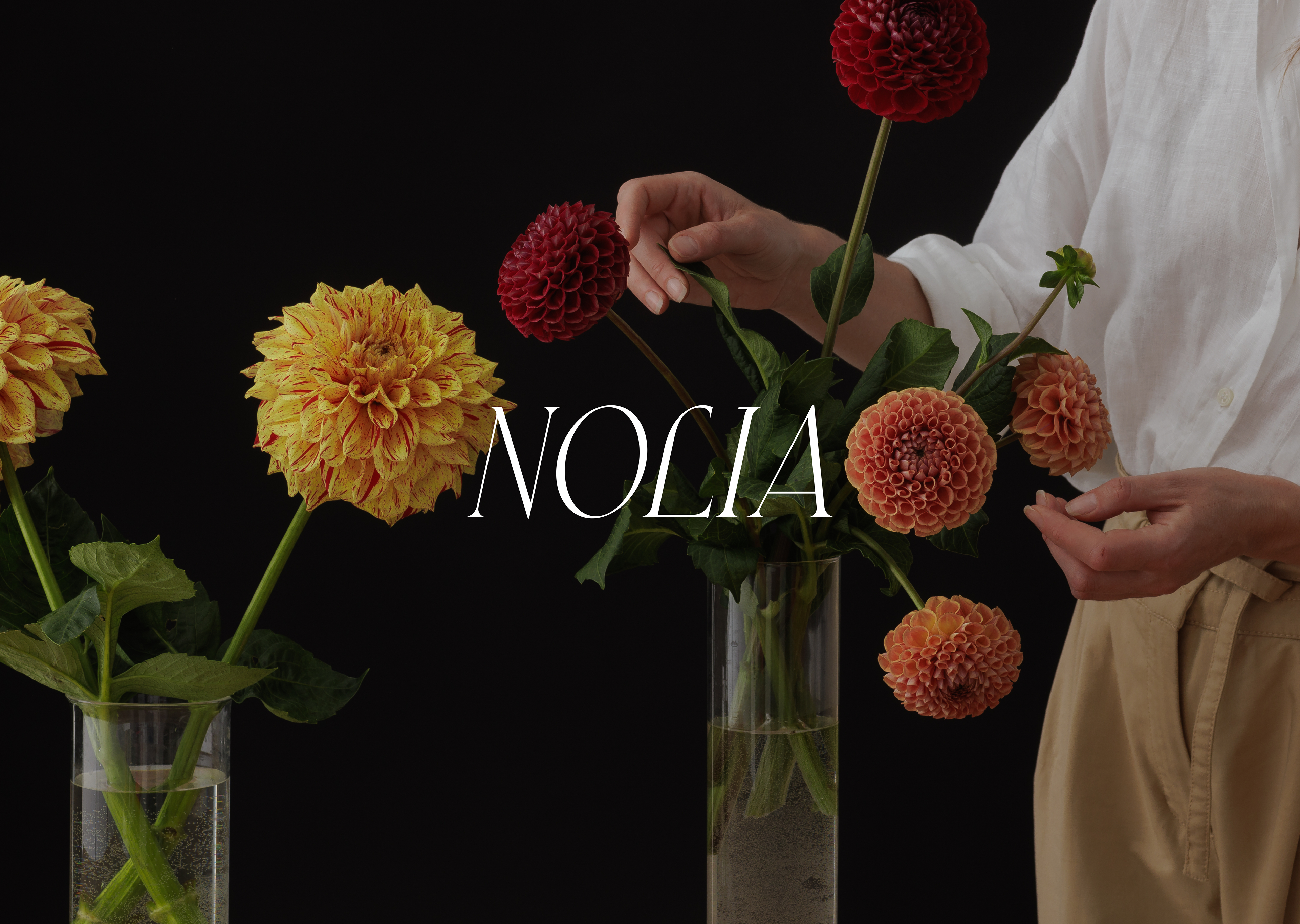 NOLIA • BRAND IDENTITY — Изображение №9 — Брендинг на Dprofile