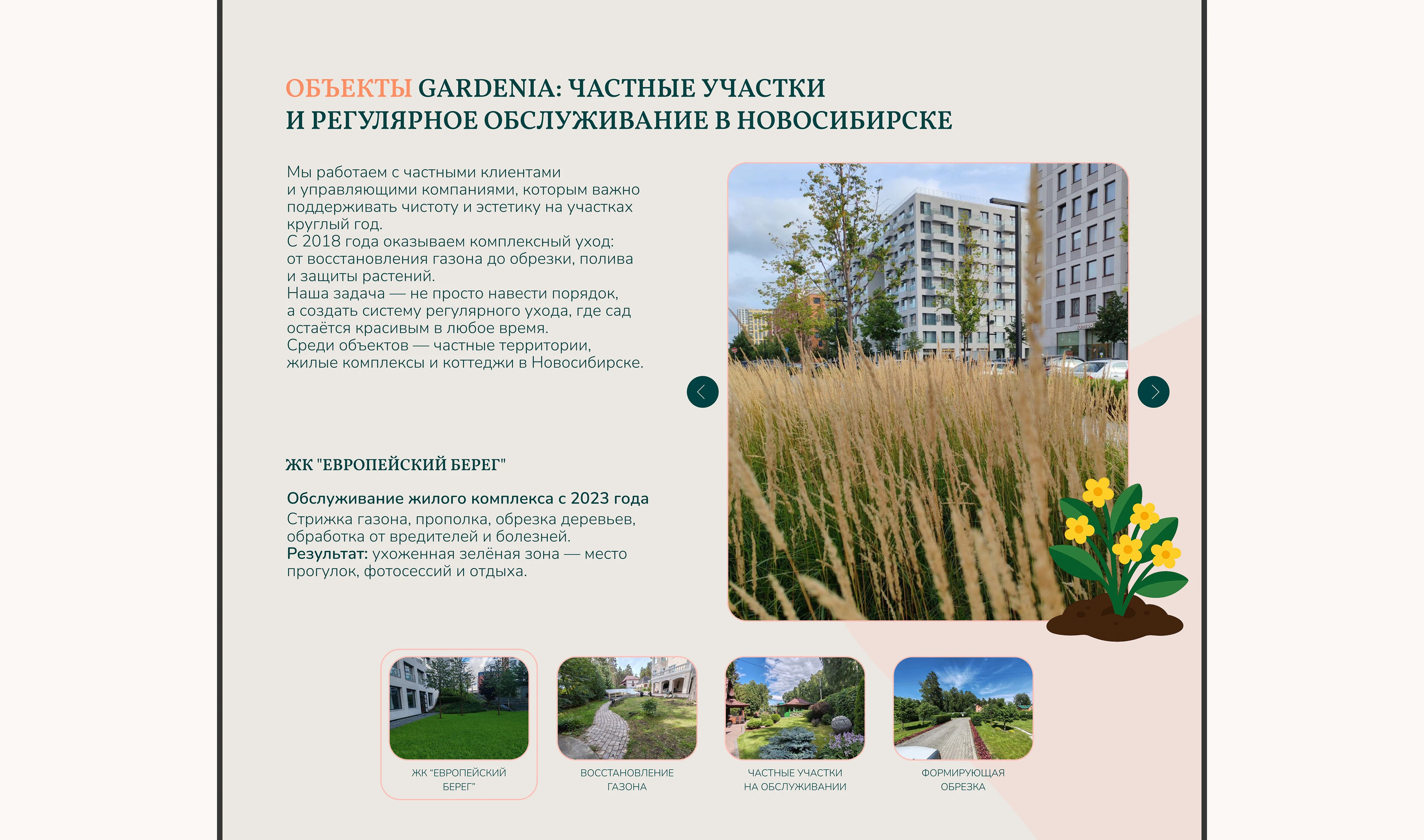 Website design | Landing page | GARDENIA — Изображение №5 — Интерфейсы на Dprofile