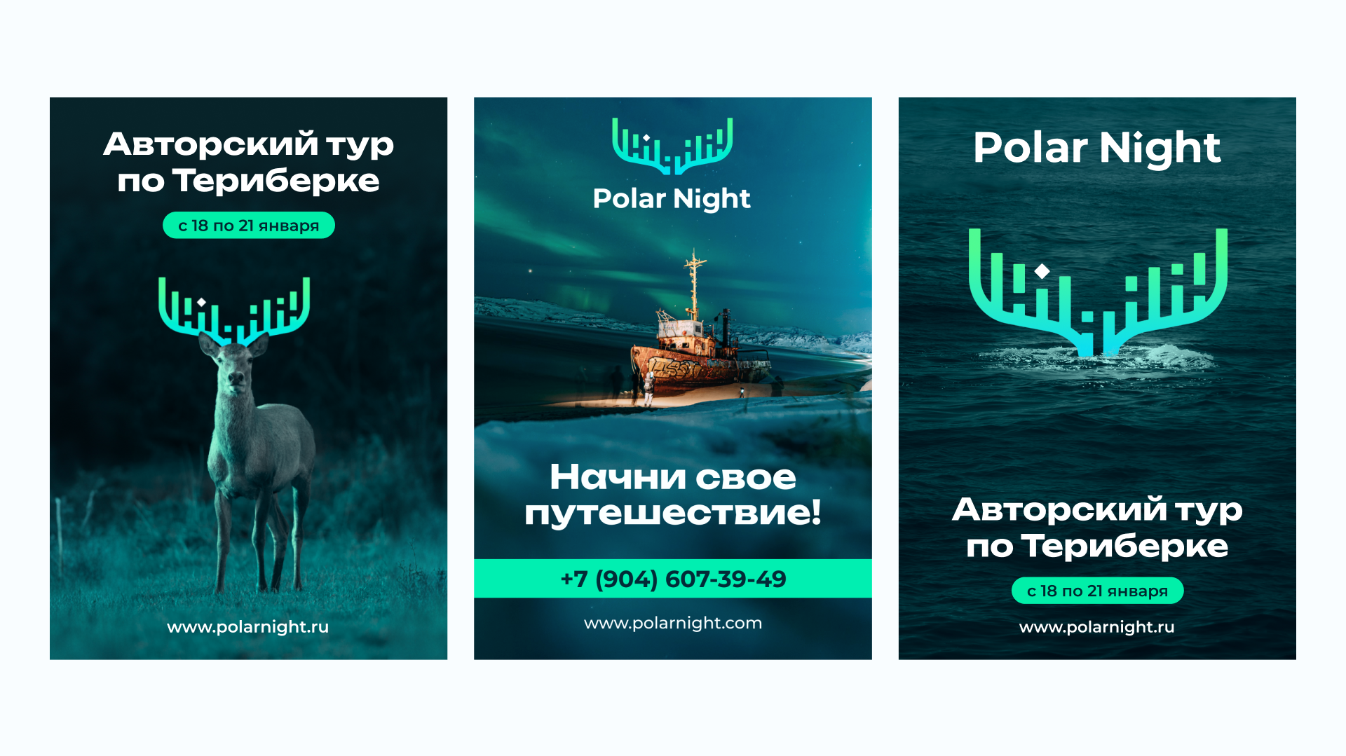 Polar Night — Изображение №6 — Брендинг на Dprofile