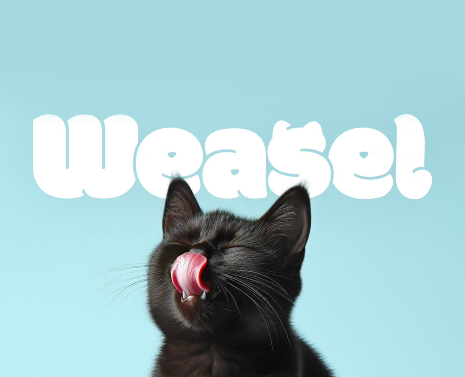 Weasel | Фирменный стиль для кошачьего корма на Dprofile