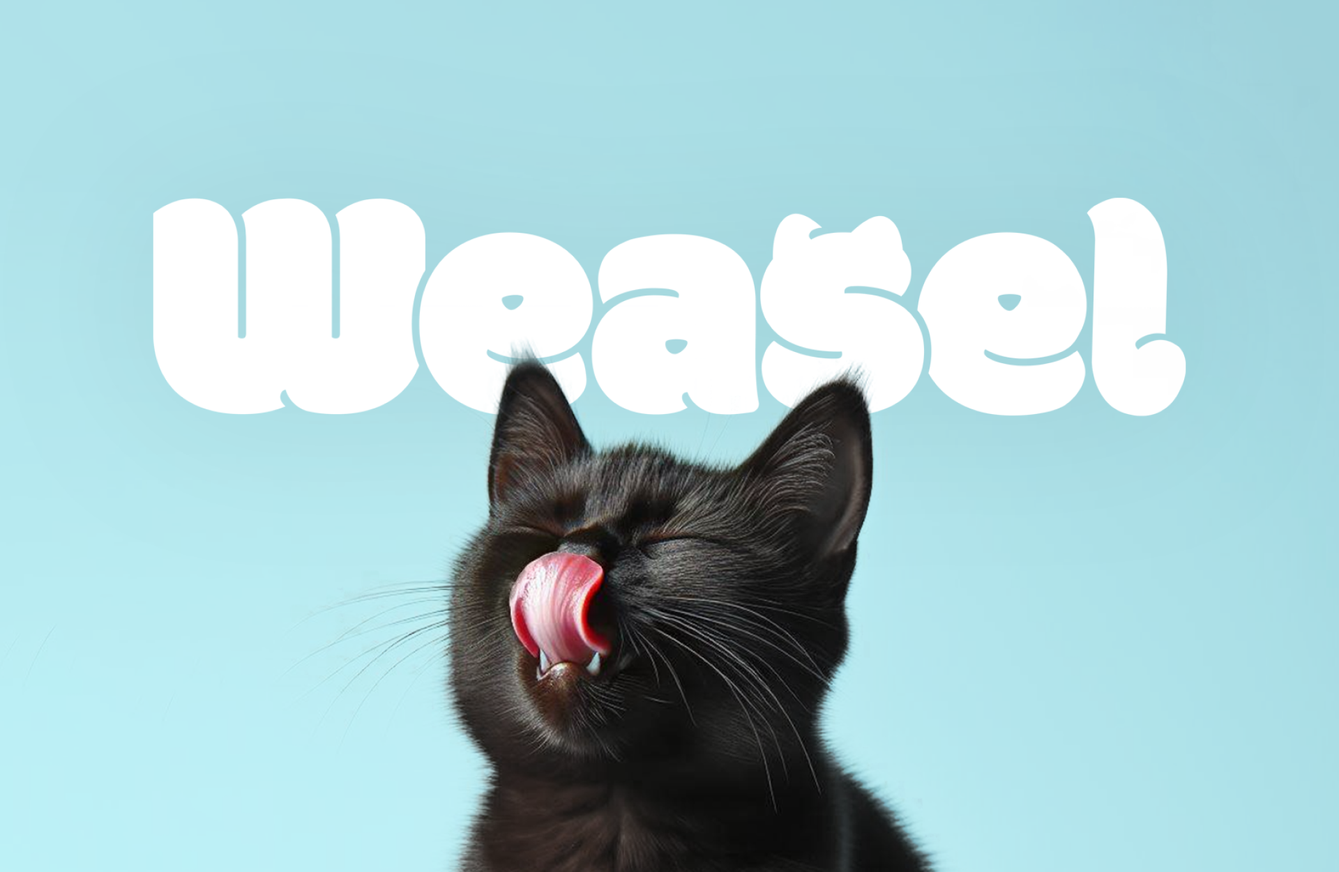 Weasel | Фирменный стиль для кошачьего корма — Изображение №1 — Брендинг на Dprofile