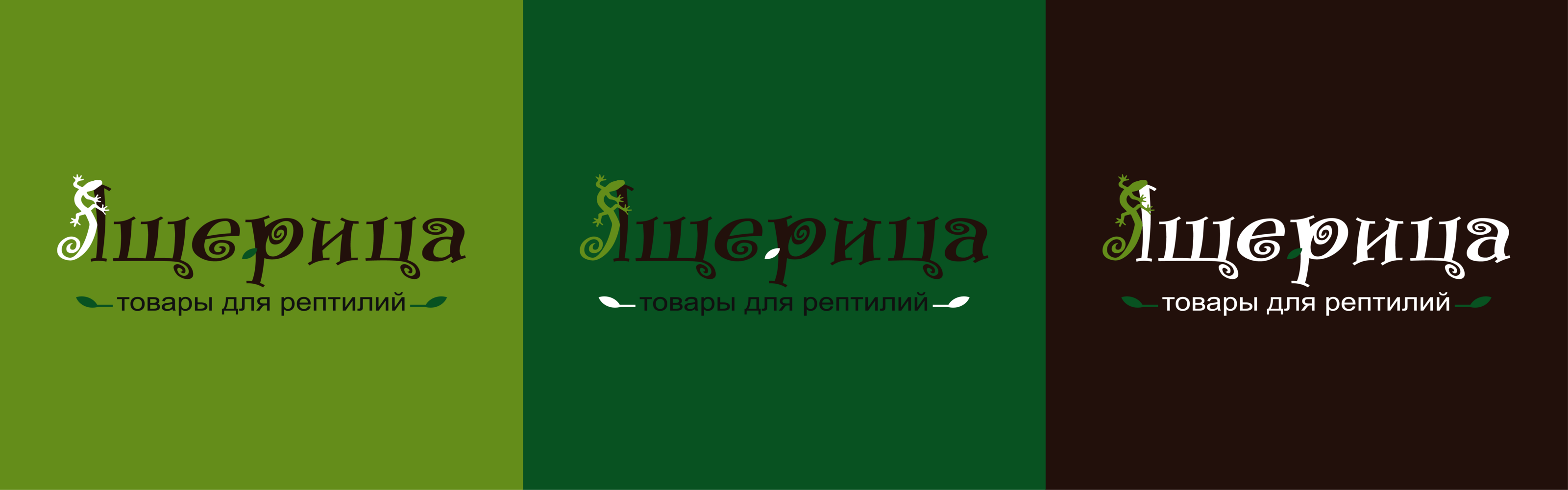 Ящерица - рептилии и товары для них — Изображение №7 — Брендинг на Dprofile