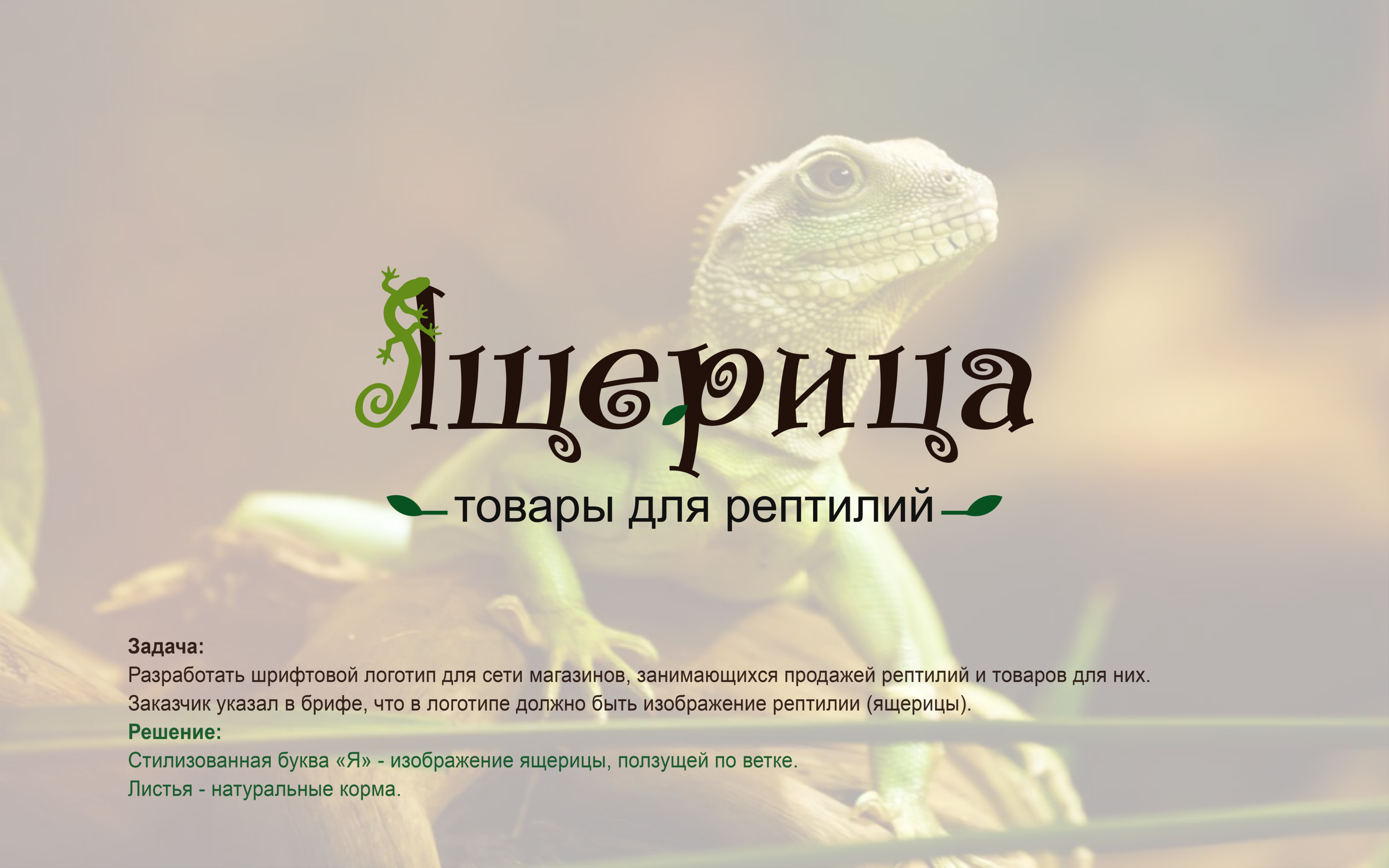 Ящерица - рептилии и товары для них — Изображение №2 — Брендинг на Dprofile