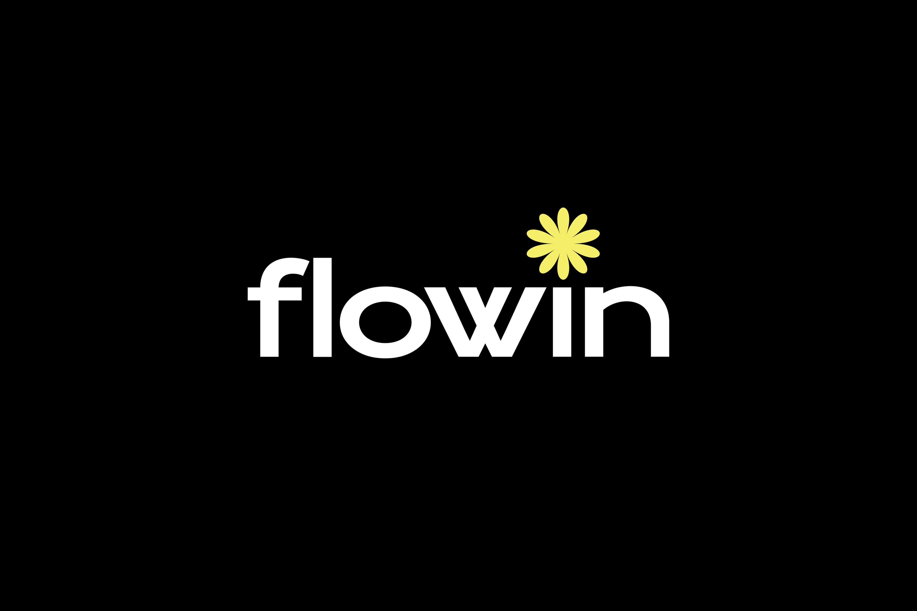 Flowin / Цветочный бутик — Изображение №1 — Брендинг, Графика на Dprofile