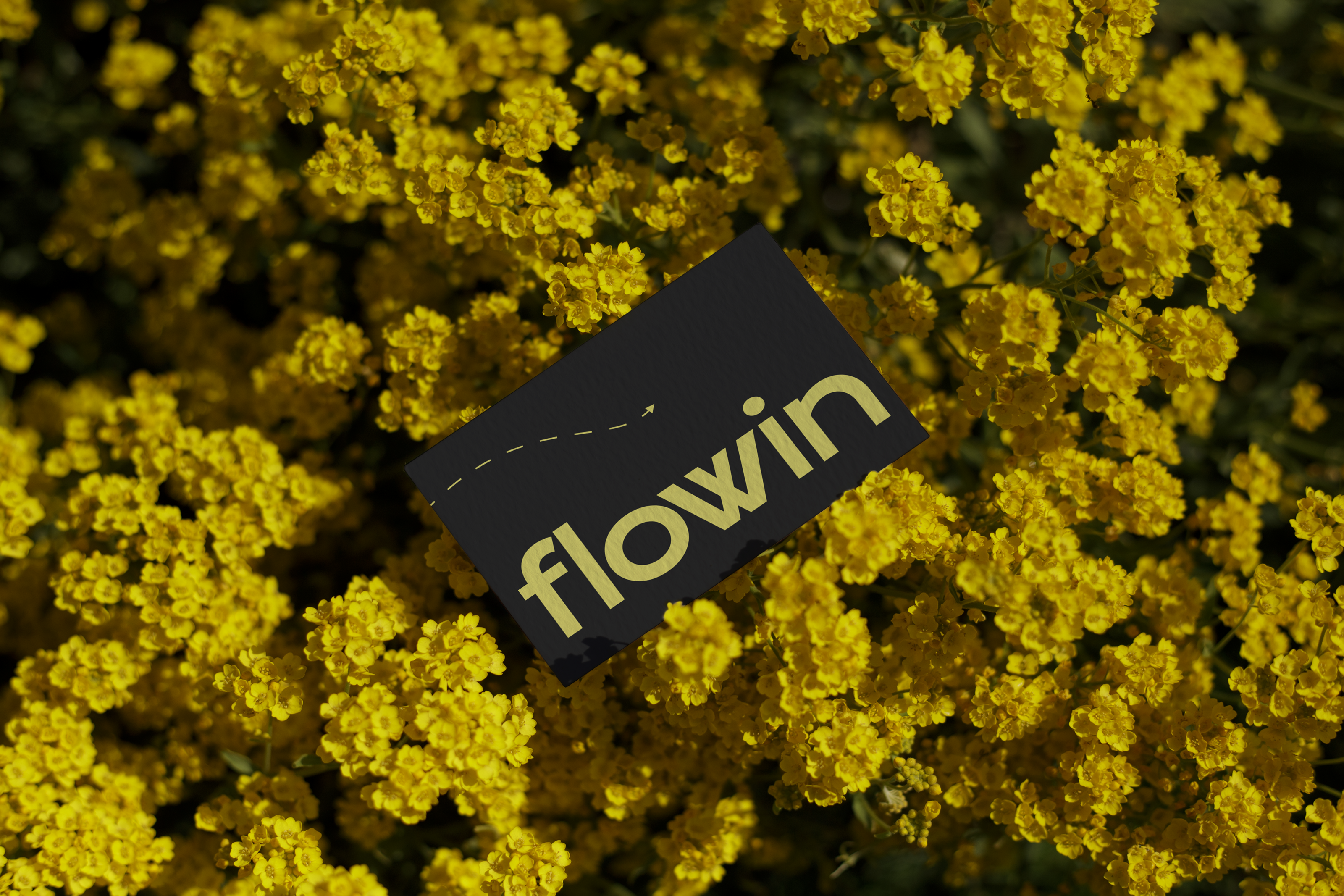 Flowin / Цветочный бутик — Изображение №4 — Брендинг, Графика на Dprofile