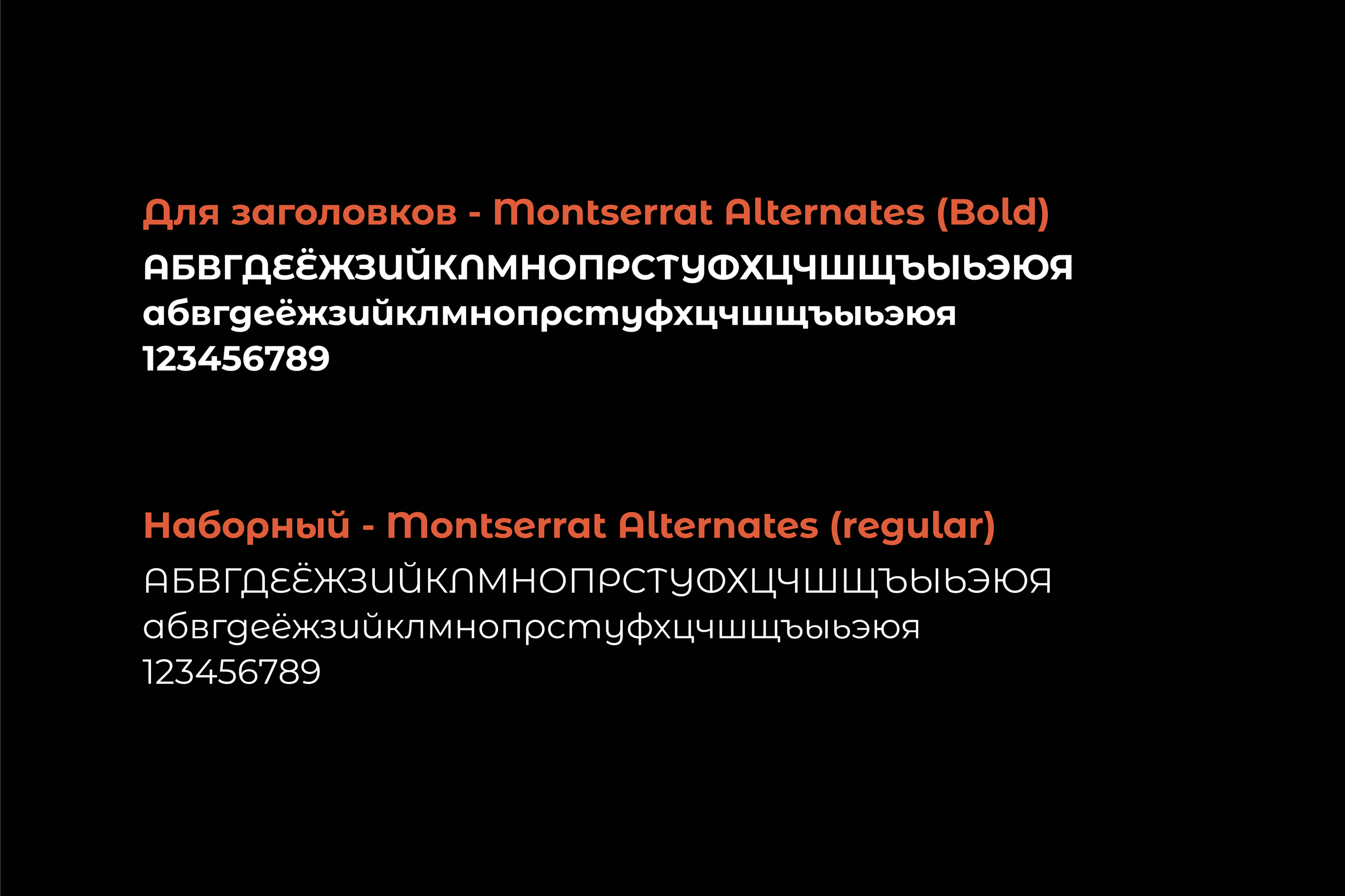 KotVam — Изображение №7 — Брендинг, Графика на Dprofile